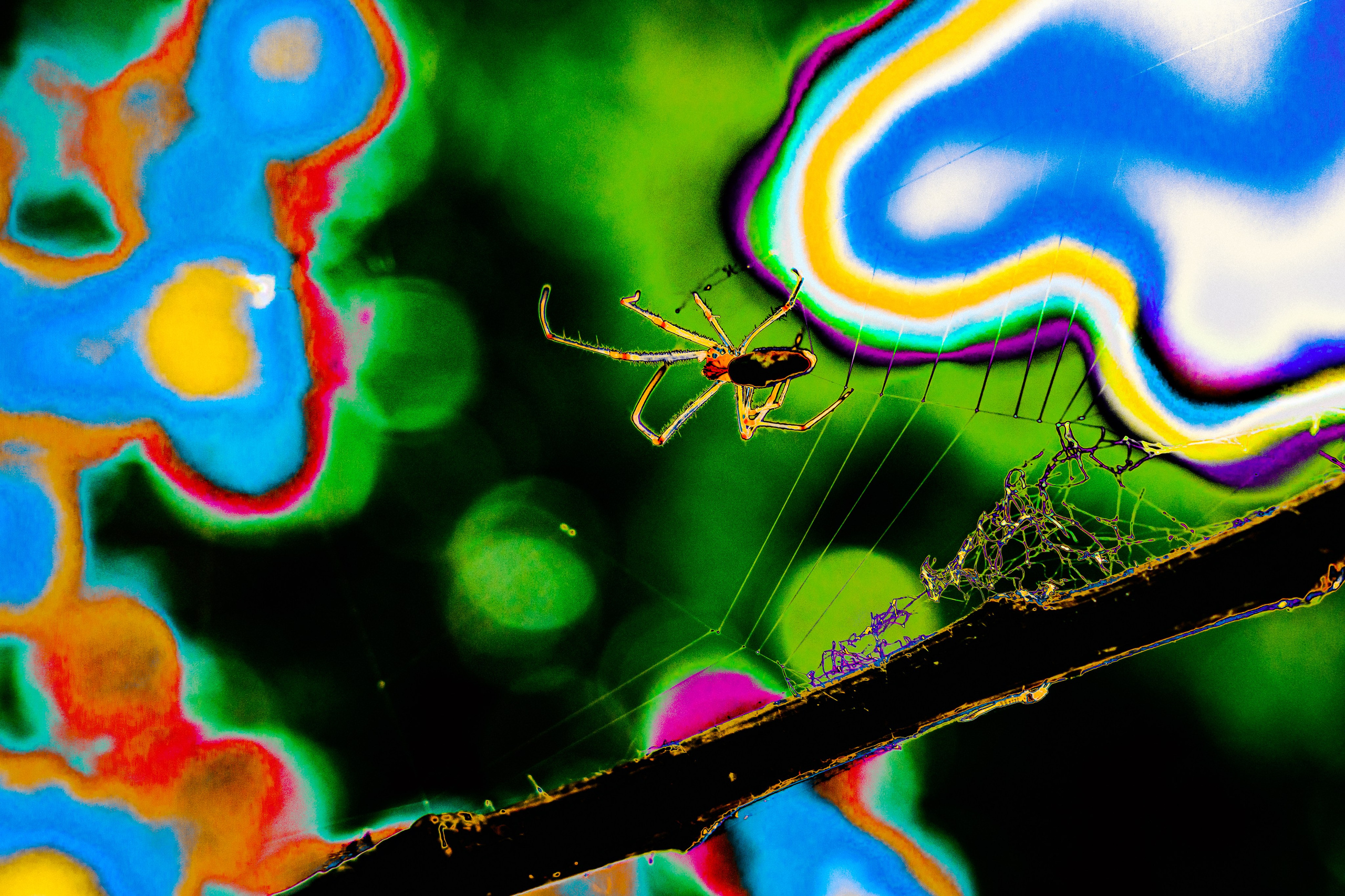 ART. Alexandru Raileanu