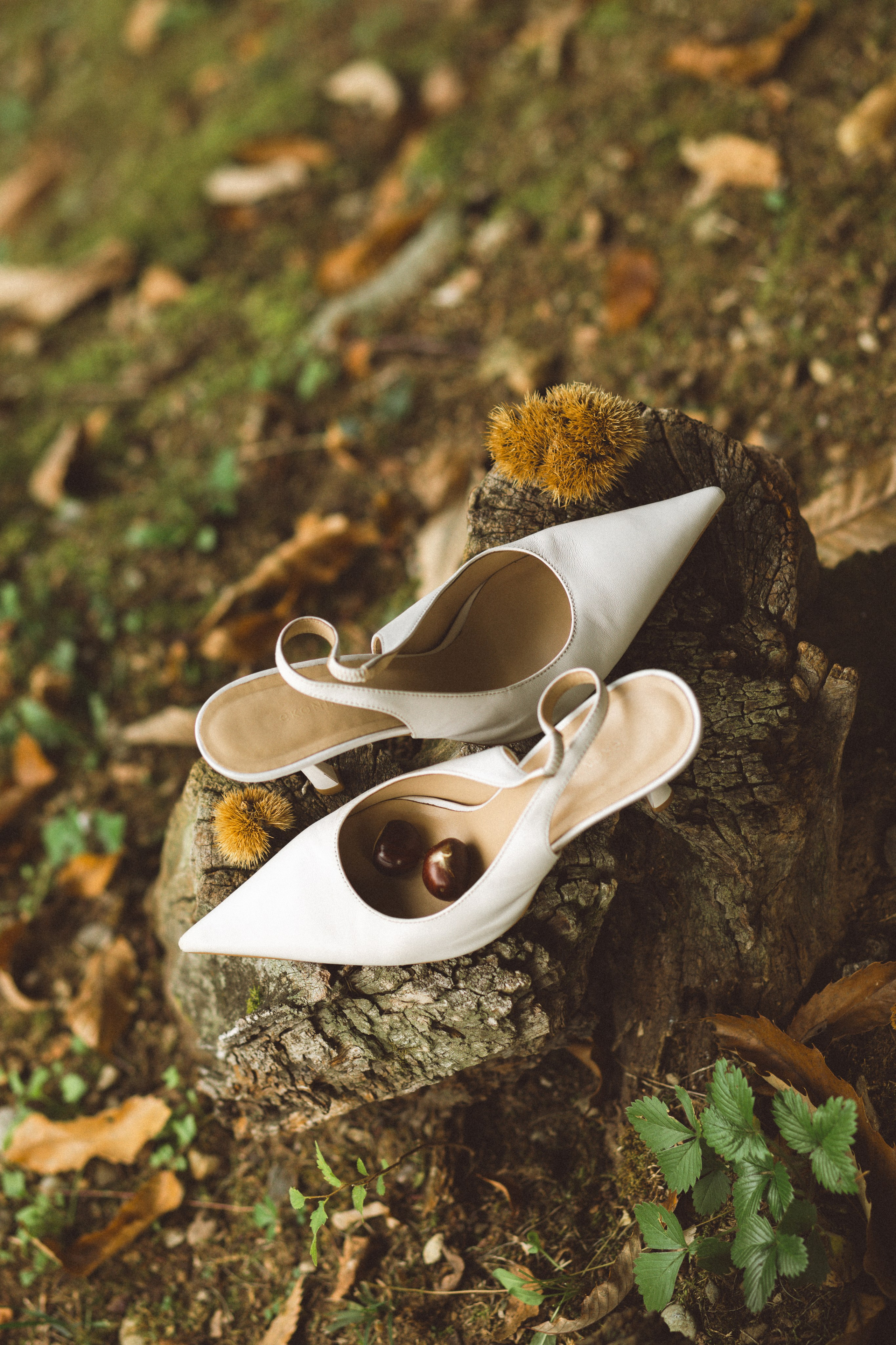 Julia — Red Wedding Editorial on Lake Como. Liza Bizzaro — Italy Wedding, Love Story & Portrait Photographer in Milan, Turin, Piedmont and Across Italy