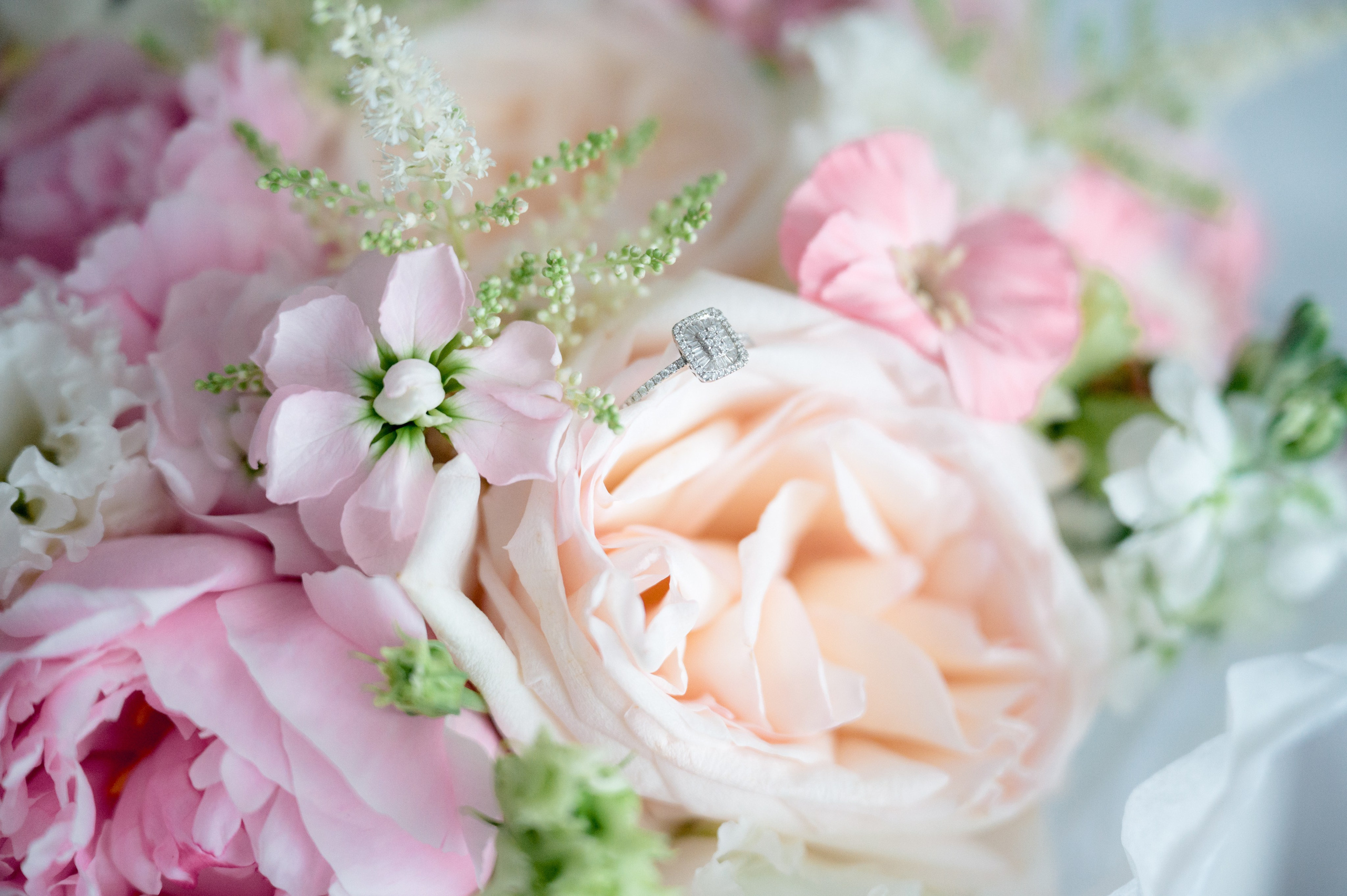 Fotograf Nunta Brasov | Happy Souls