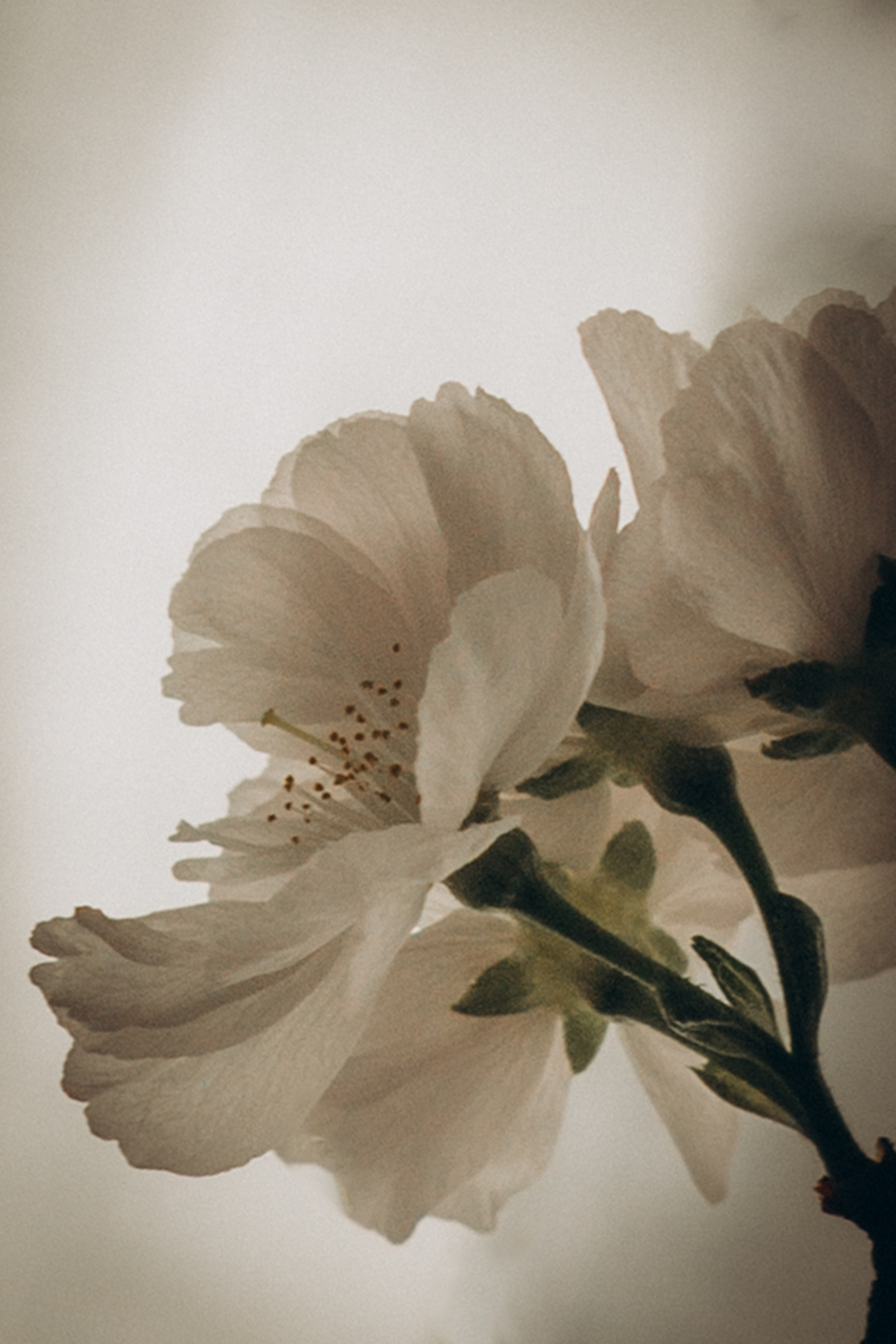 Inspiration. Family photographer in Stockholm Oksana Matviyiv