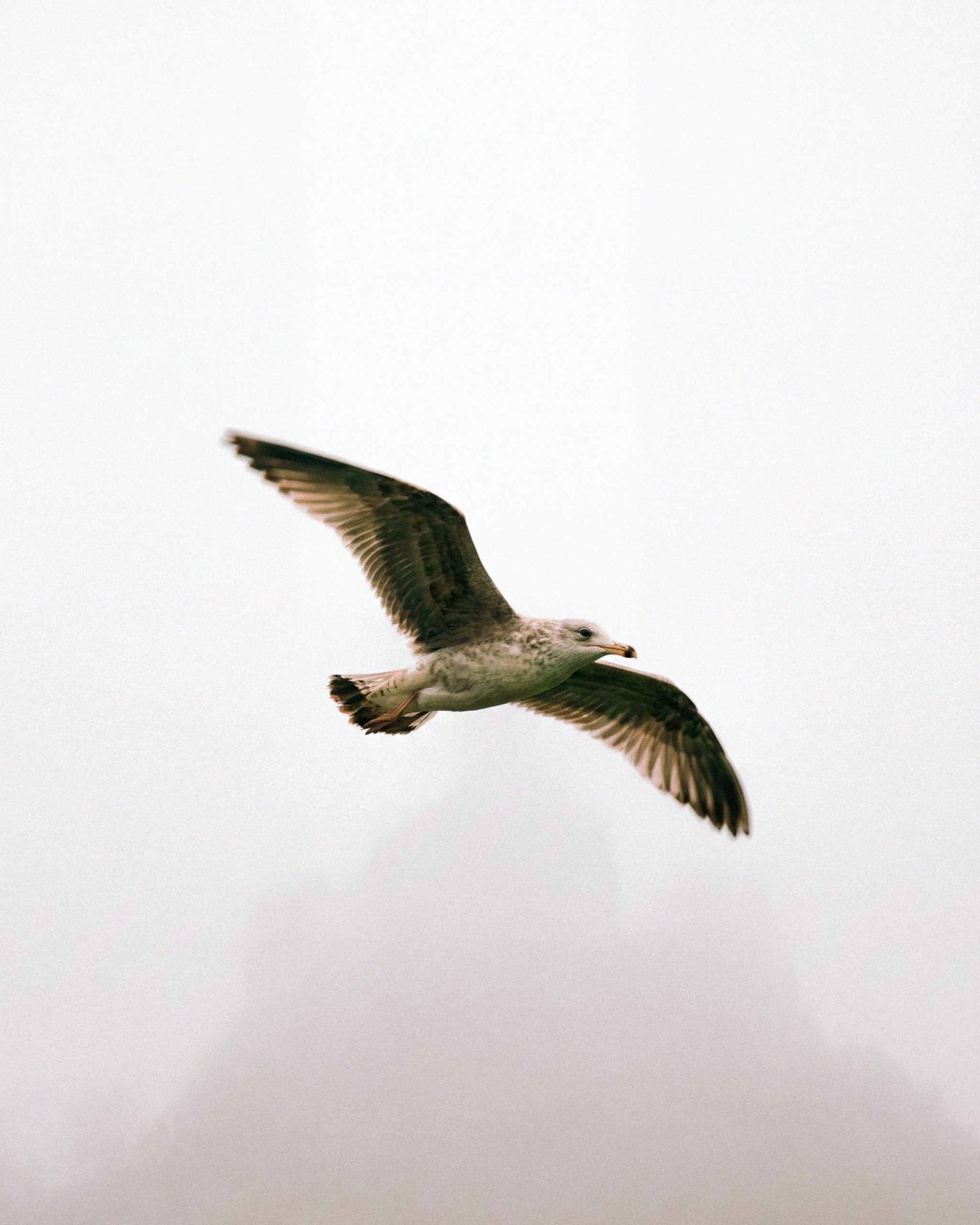 Photos of places around the World