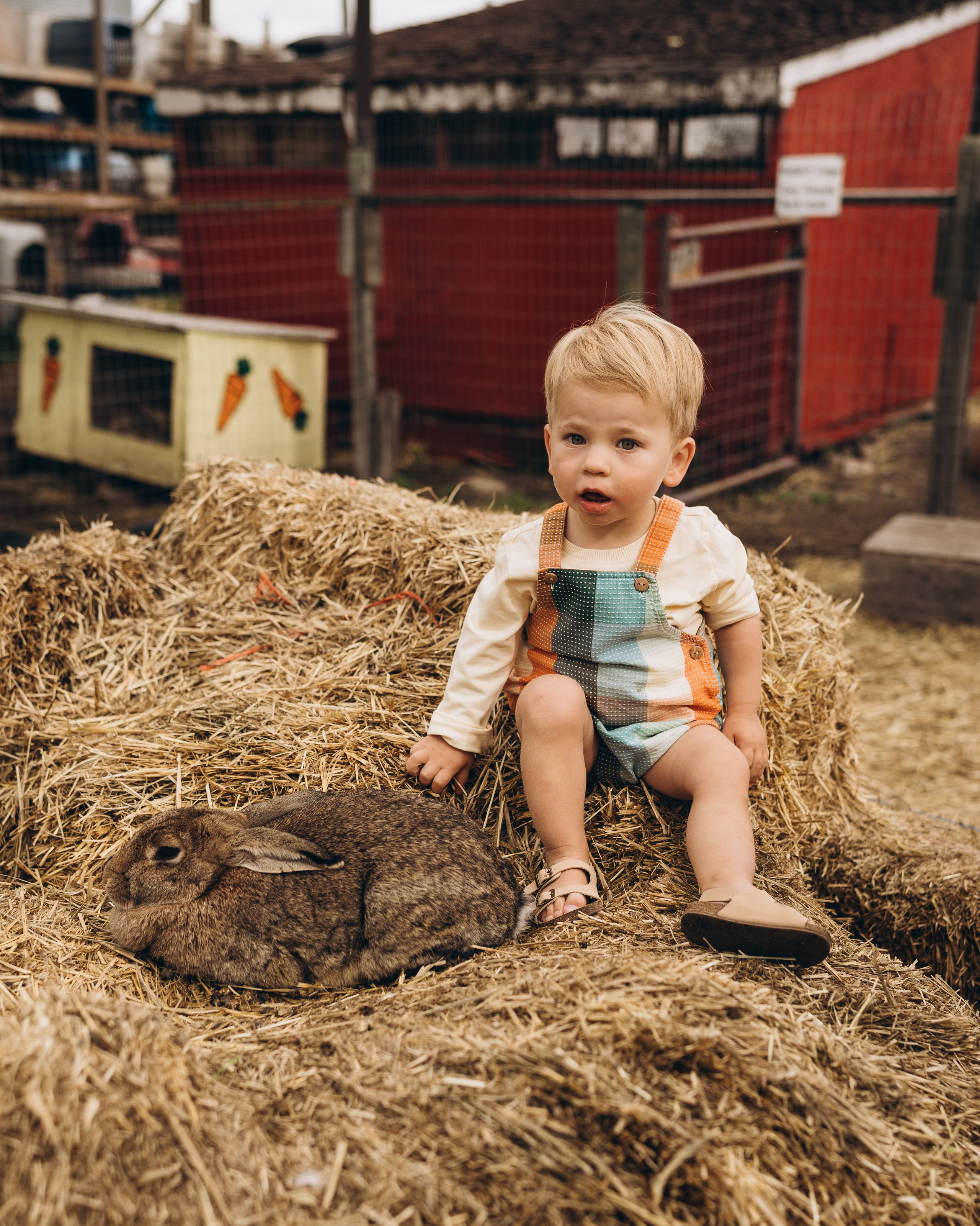 Lev. Calgary Wedding & Lifestyle Photographer — Yevhen Polishchuk