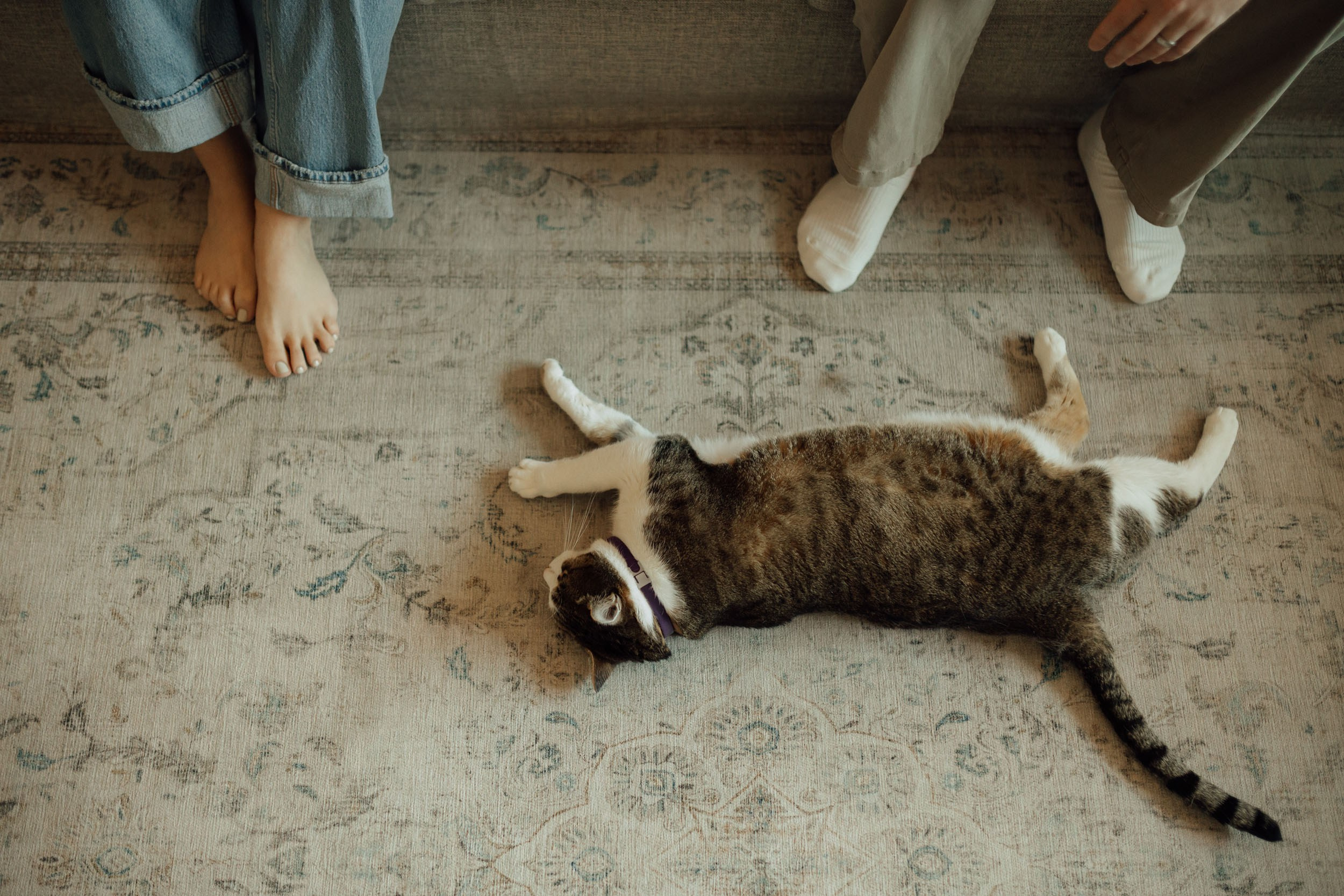 Family Moments with Chloe. Maternity, newborn photographer in the Bay Area|Iryna Rakivnenko