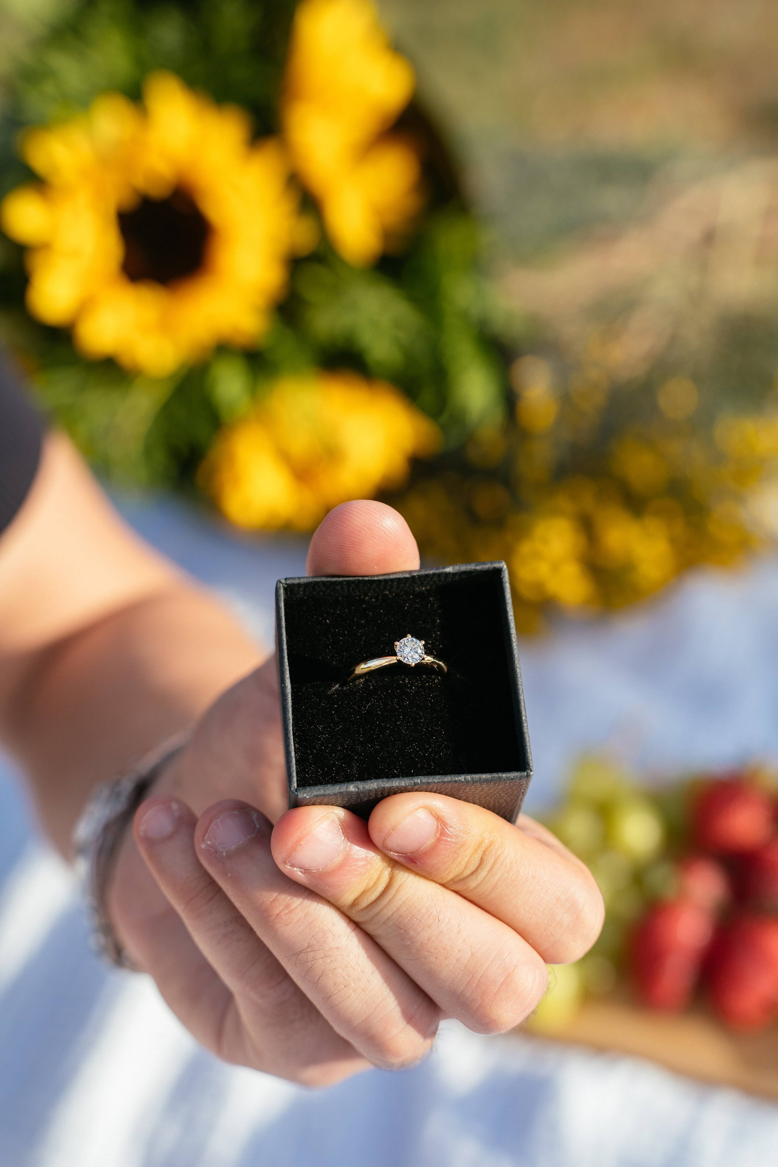 Marrige proposal in the mountains. Фотограф в Мадриде Алена Белянинова