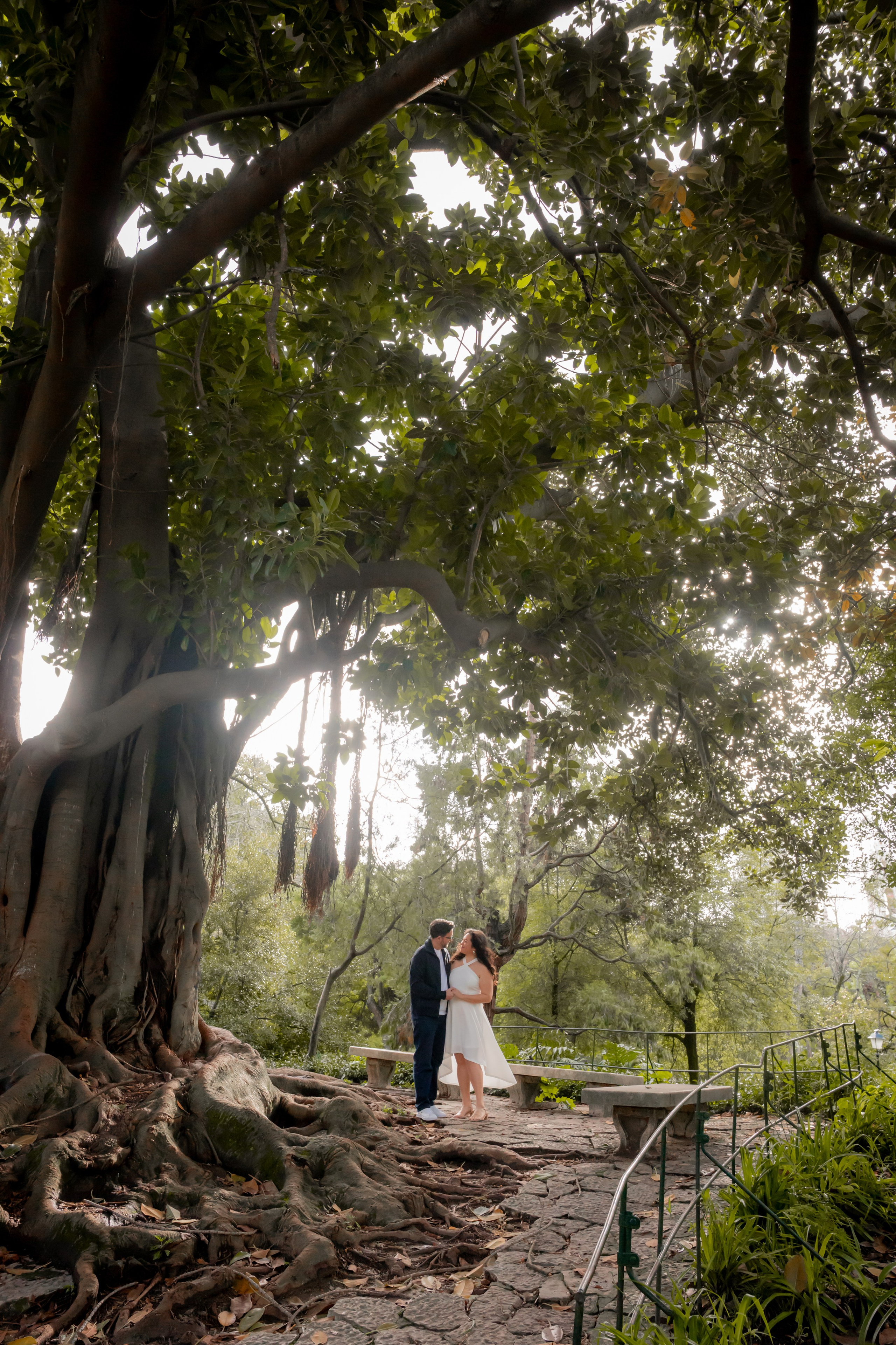 Photographer with 15 years of experience — Phelipe Paraense