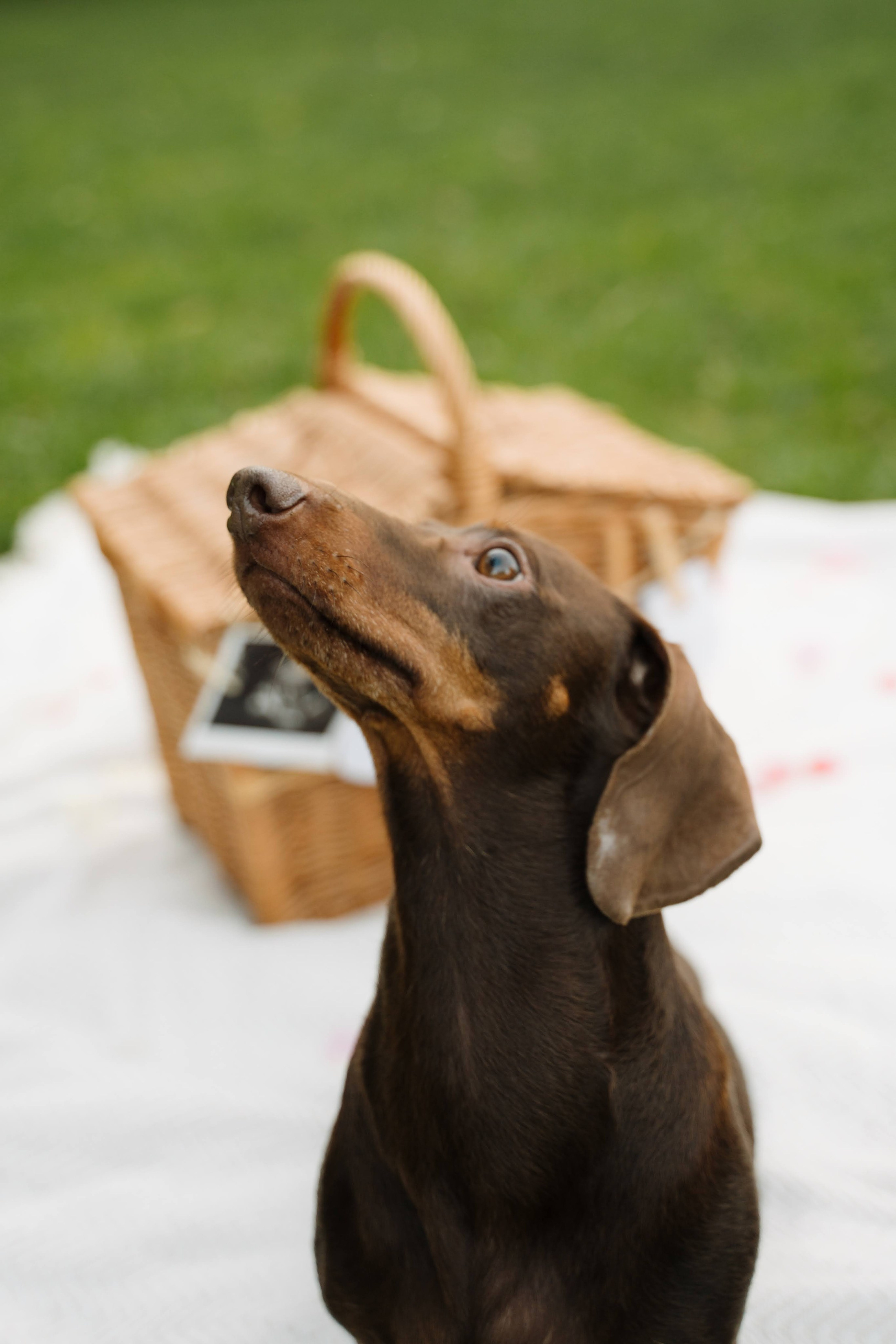 Családi. Szőke Fotó & Film