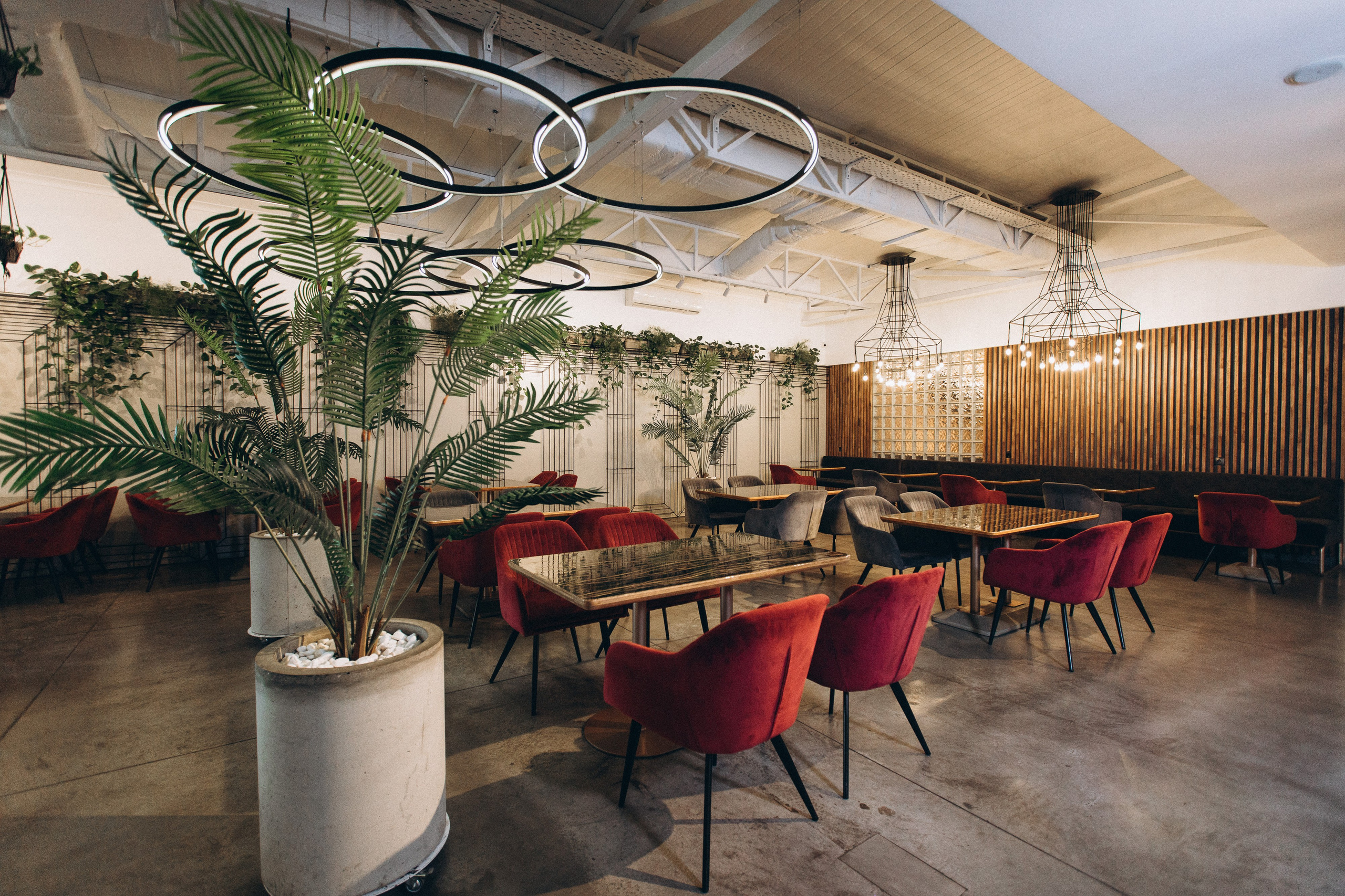 Мережа ресторанів Classic. Ірина Терещук