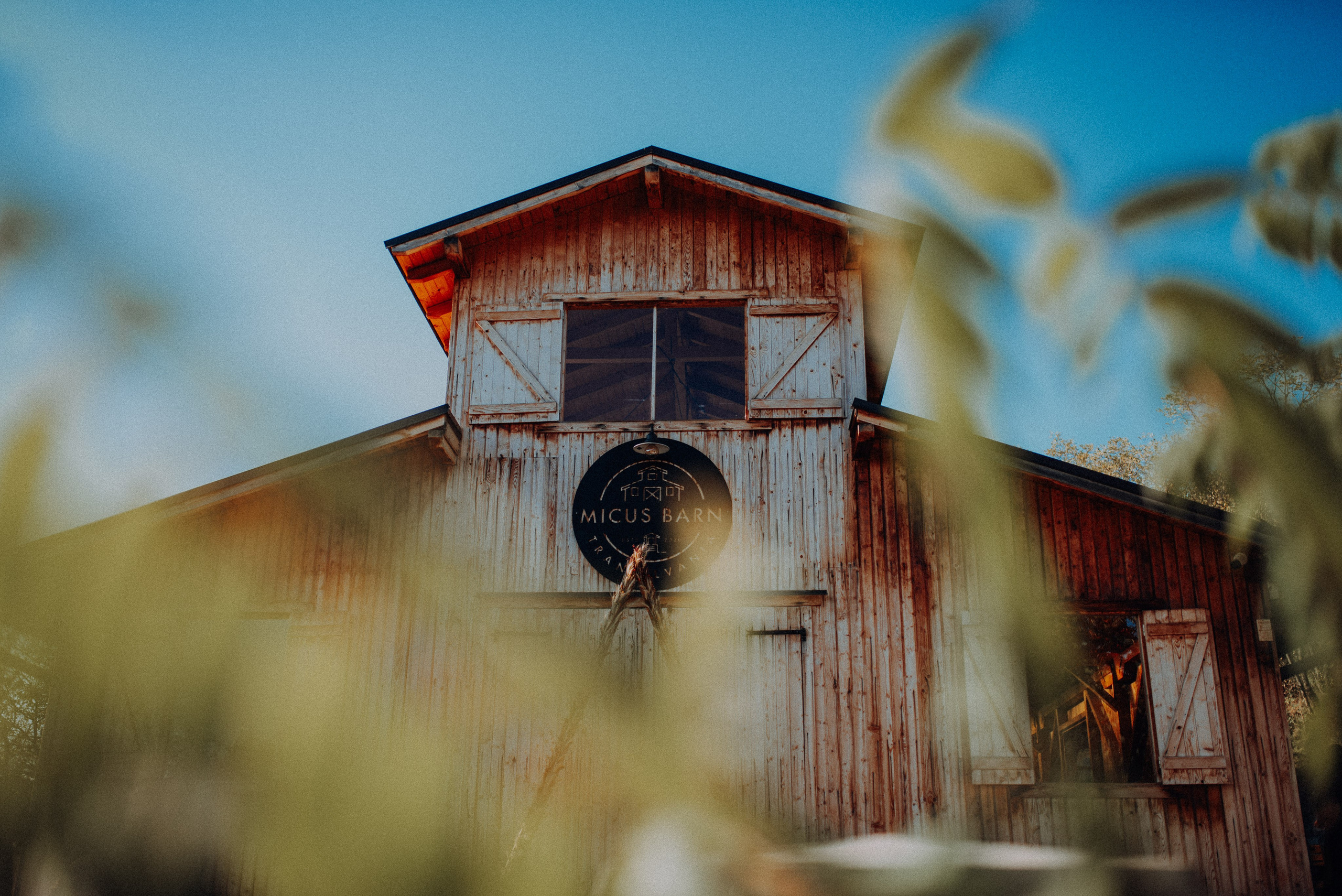 | Carmen & Jaewon |. Alex Vasilie | Fotograf de Nuntă, Botez și Portret | Cluj-Napoca