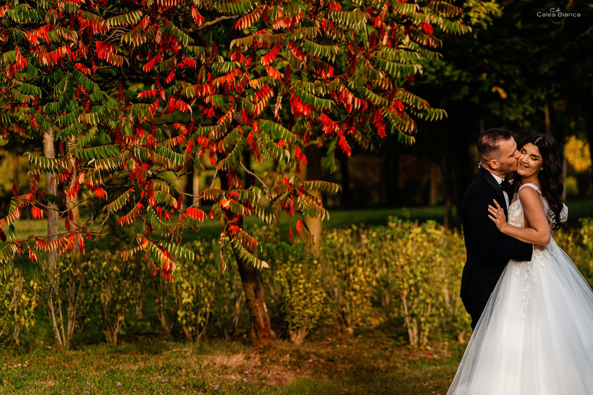 Andreea & Remus - 2022. Fotograf nunta si evenimente Giurgiu