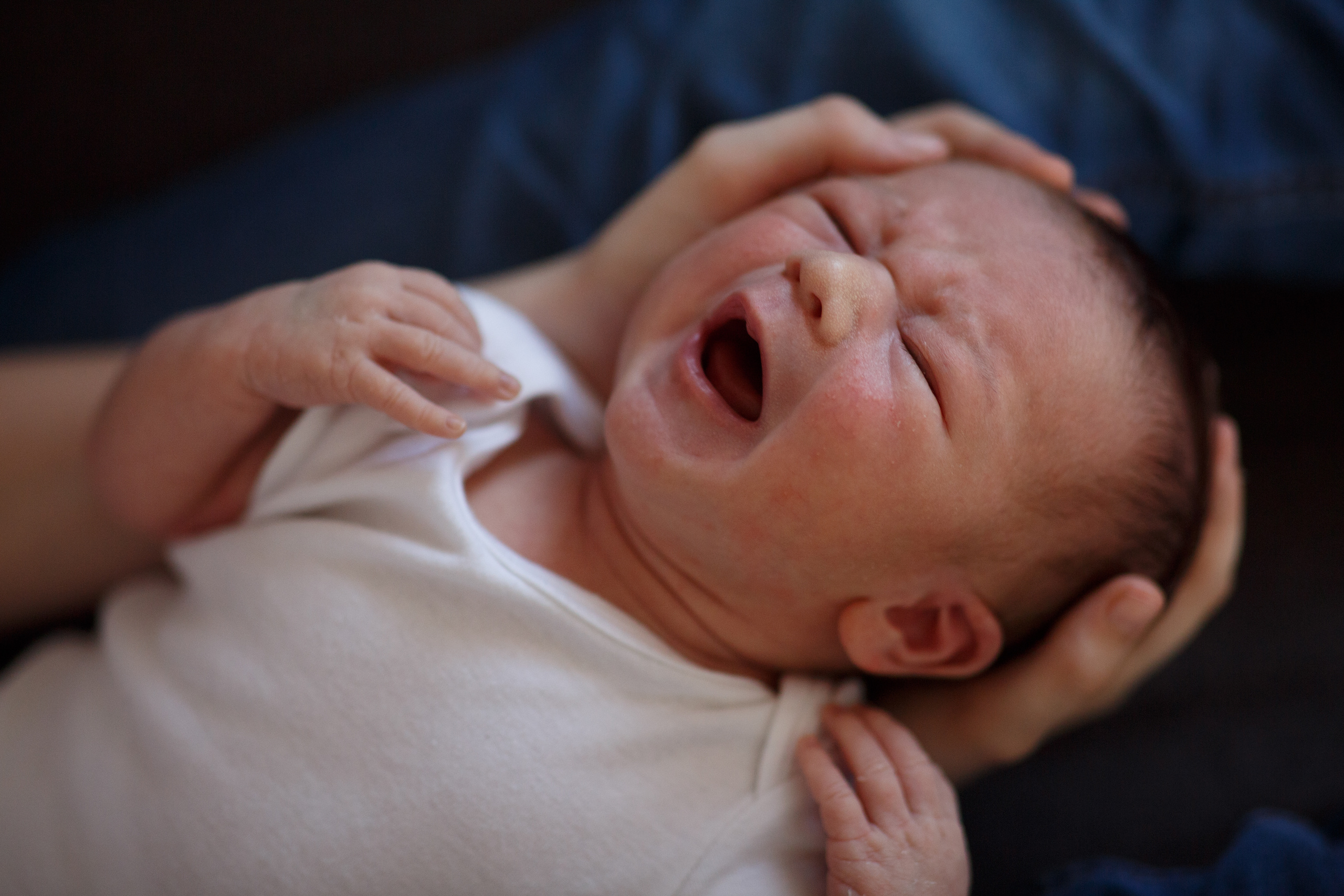 Umar (1). Photographe professionelle spécialisée dans la photographie de grosses