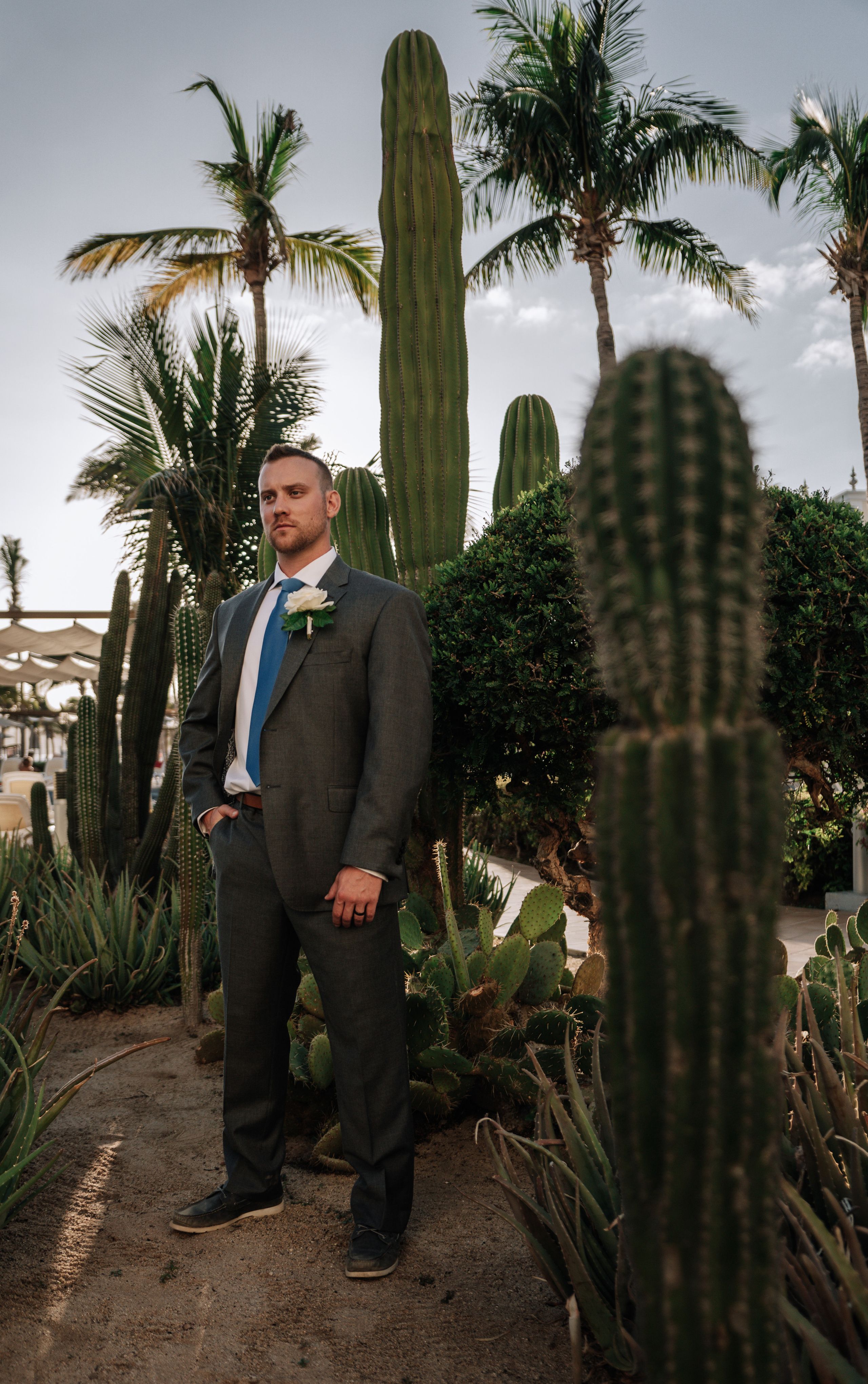 Groom standing confidently among tall cacti and palm trees at a Cabo San Lucas resort