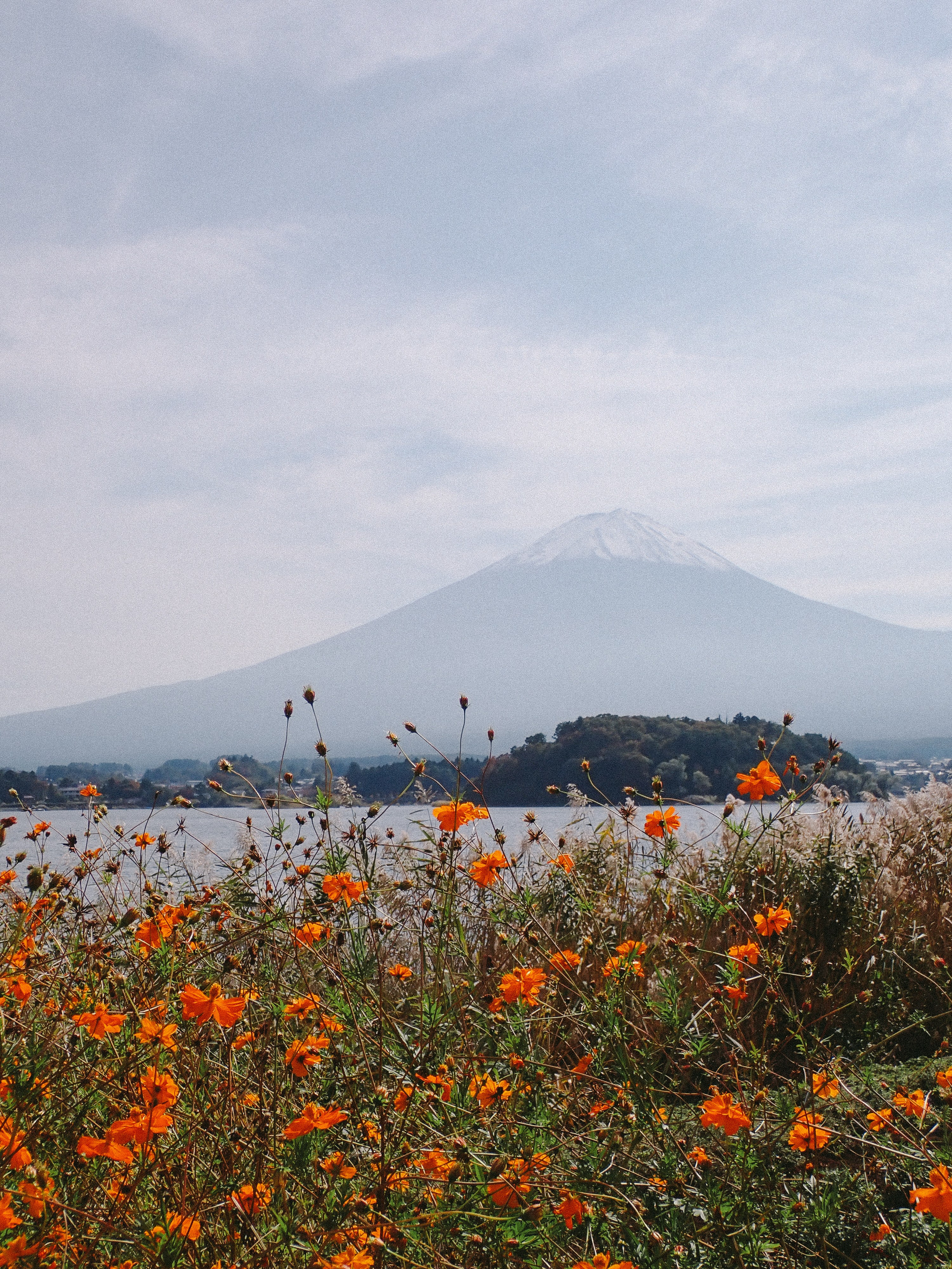 Japan. Faya Photo: Boudoir Photography by Australia’s Top Female Photographer