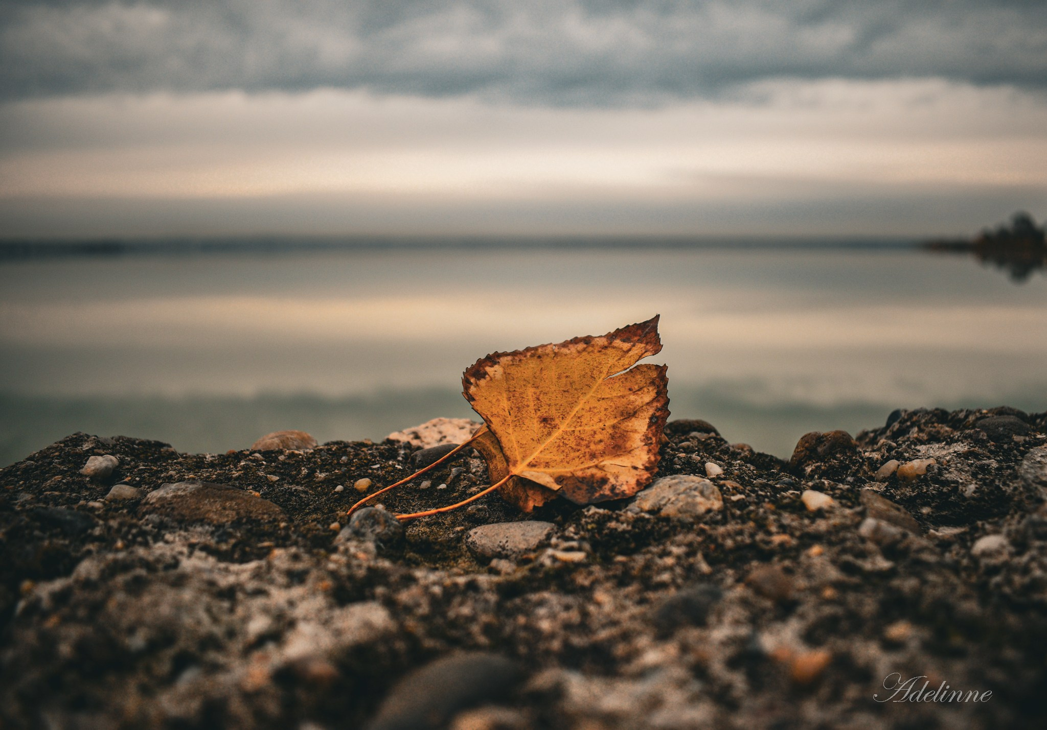 Nature❤️. Adelinne