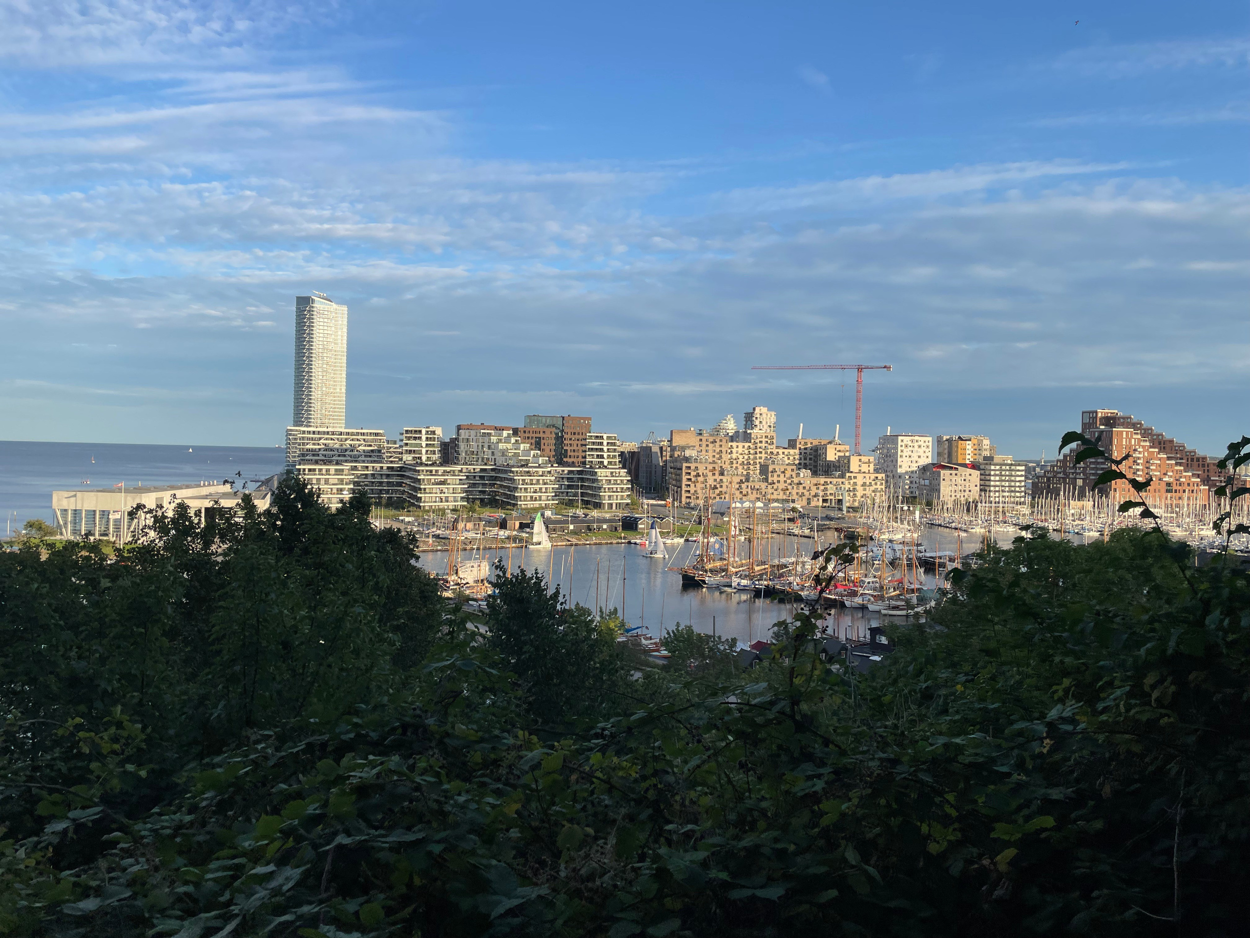 Sommer. Fotograf Aarhus | Portrætfoto Århus | Flotte billeder