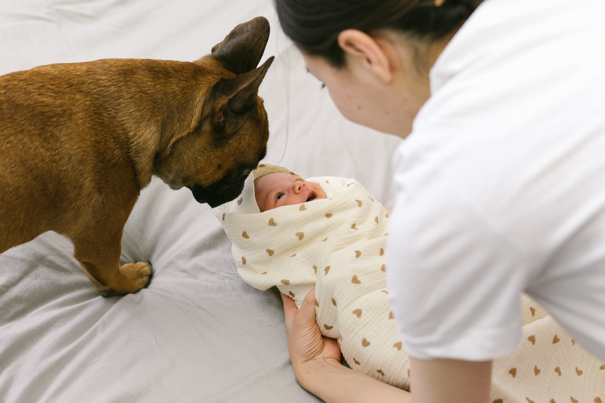 Zlata. Professional Photographer Abu Dhabi, Dubai — Yulia Ismoilova | 2025