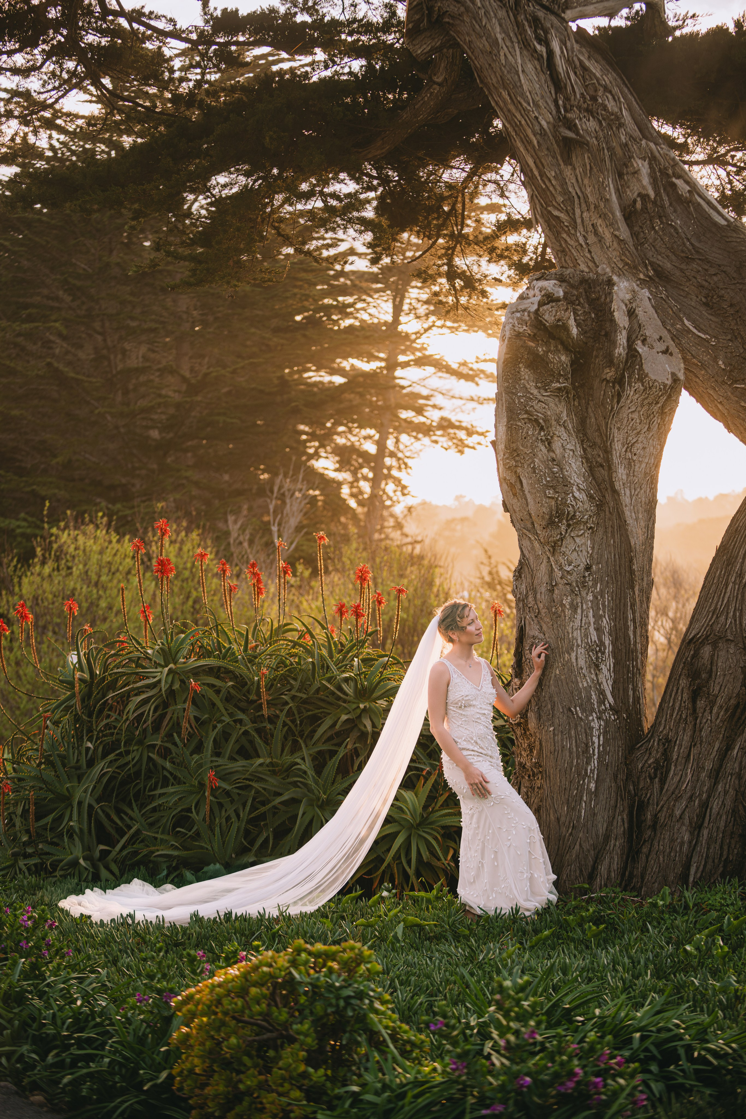 Wedding & Elopement Photographers in California