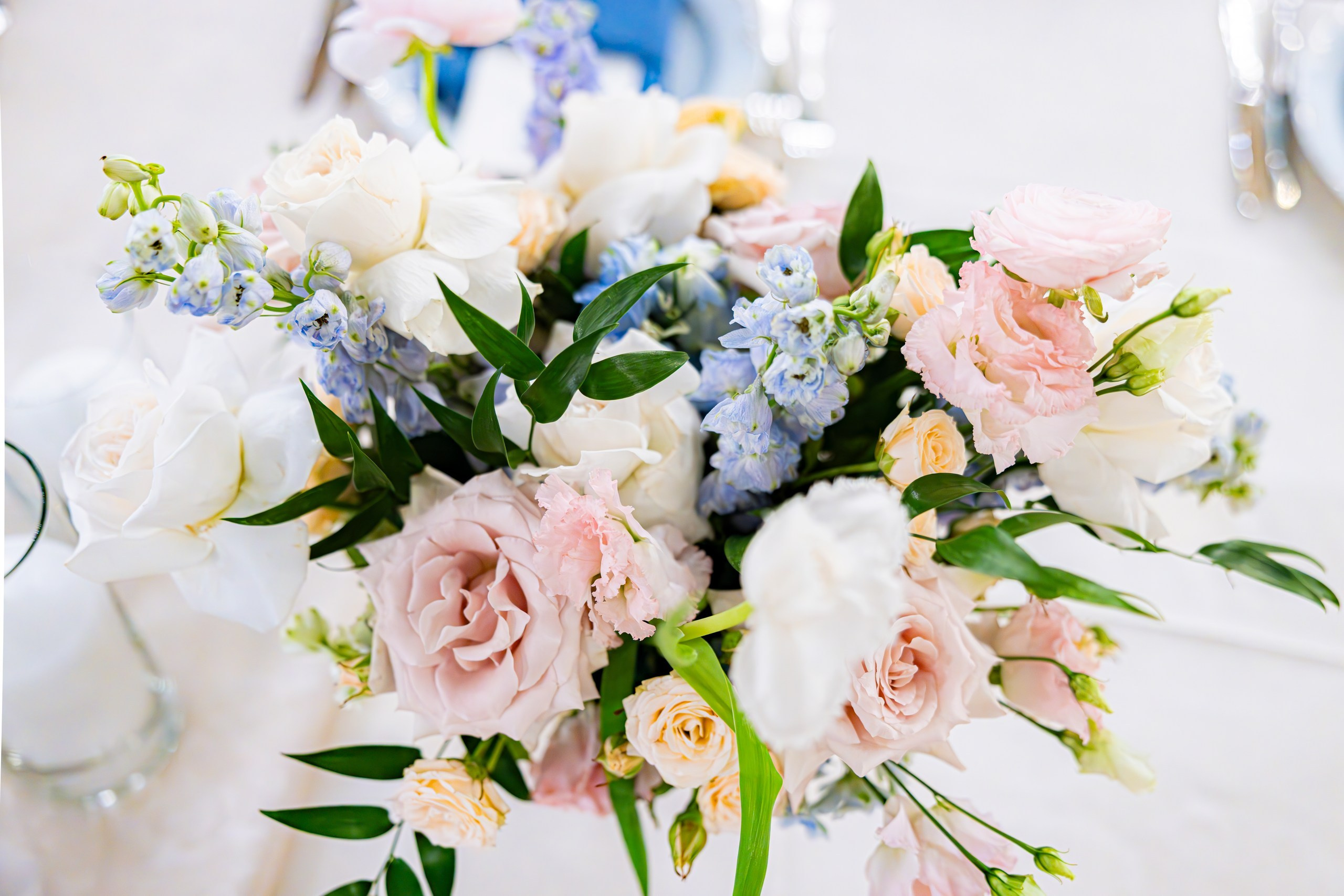 Shaun and Edelweis, A Taj Hotel. Wedding Photo & Video