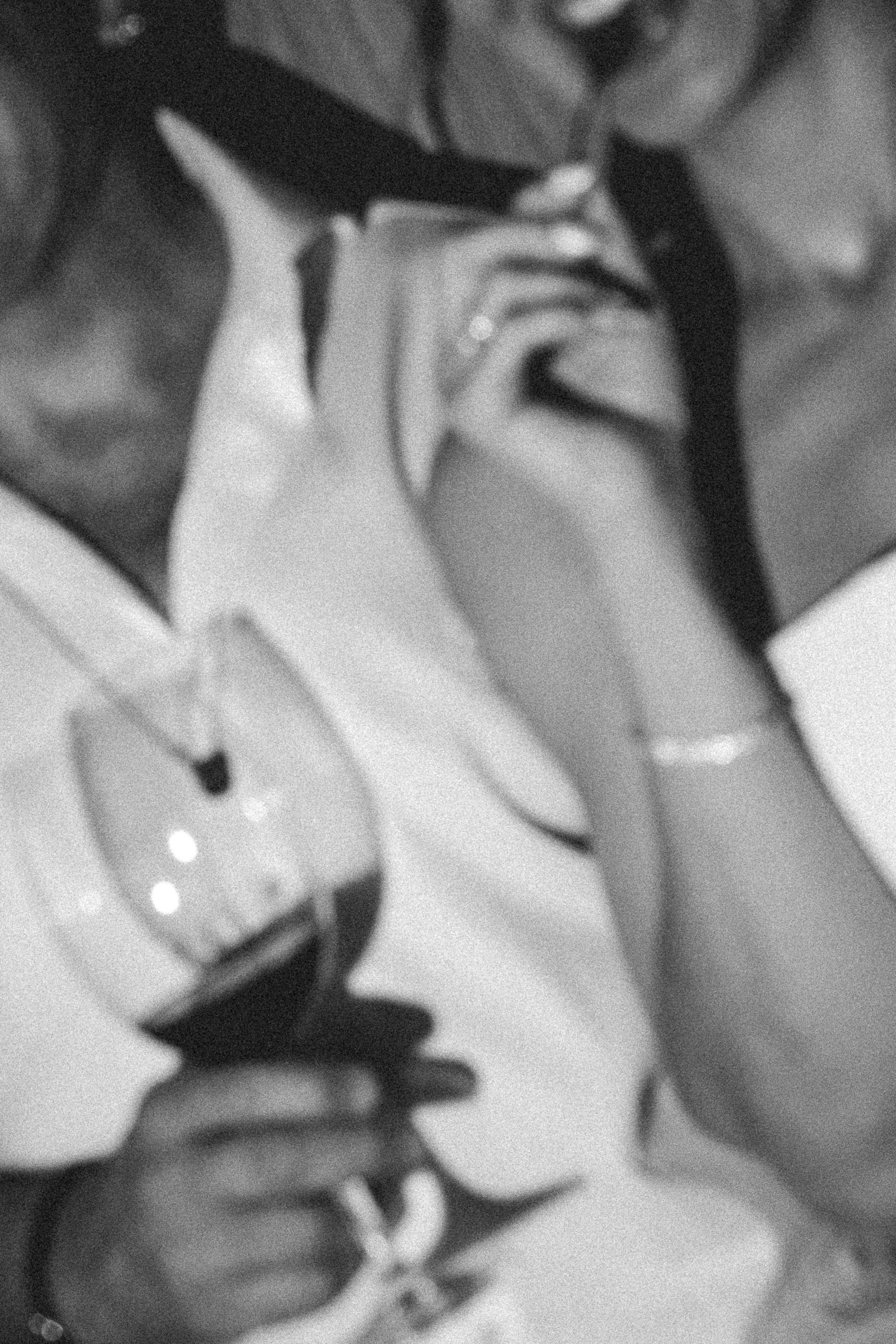 Casamento Marceli e Diego — Vinícola Terras Altas. Fotógrafo de casamento e Filmmaker de casamento