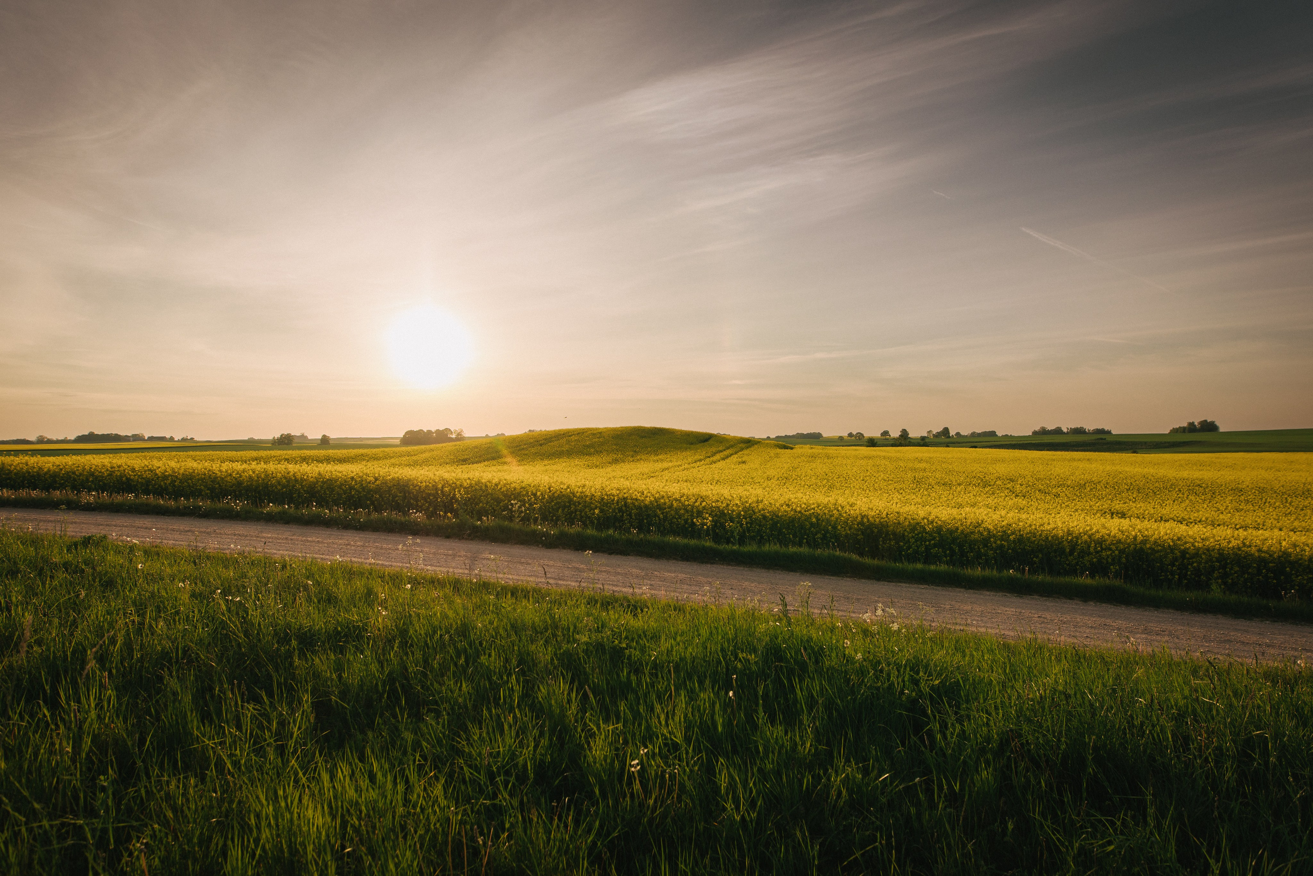 Asmeninė fotosesija Marijampolės apylinkėse