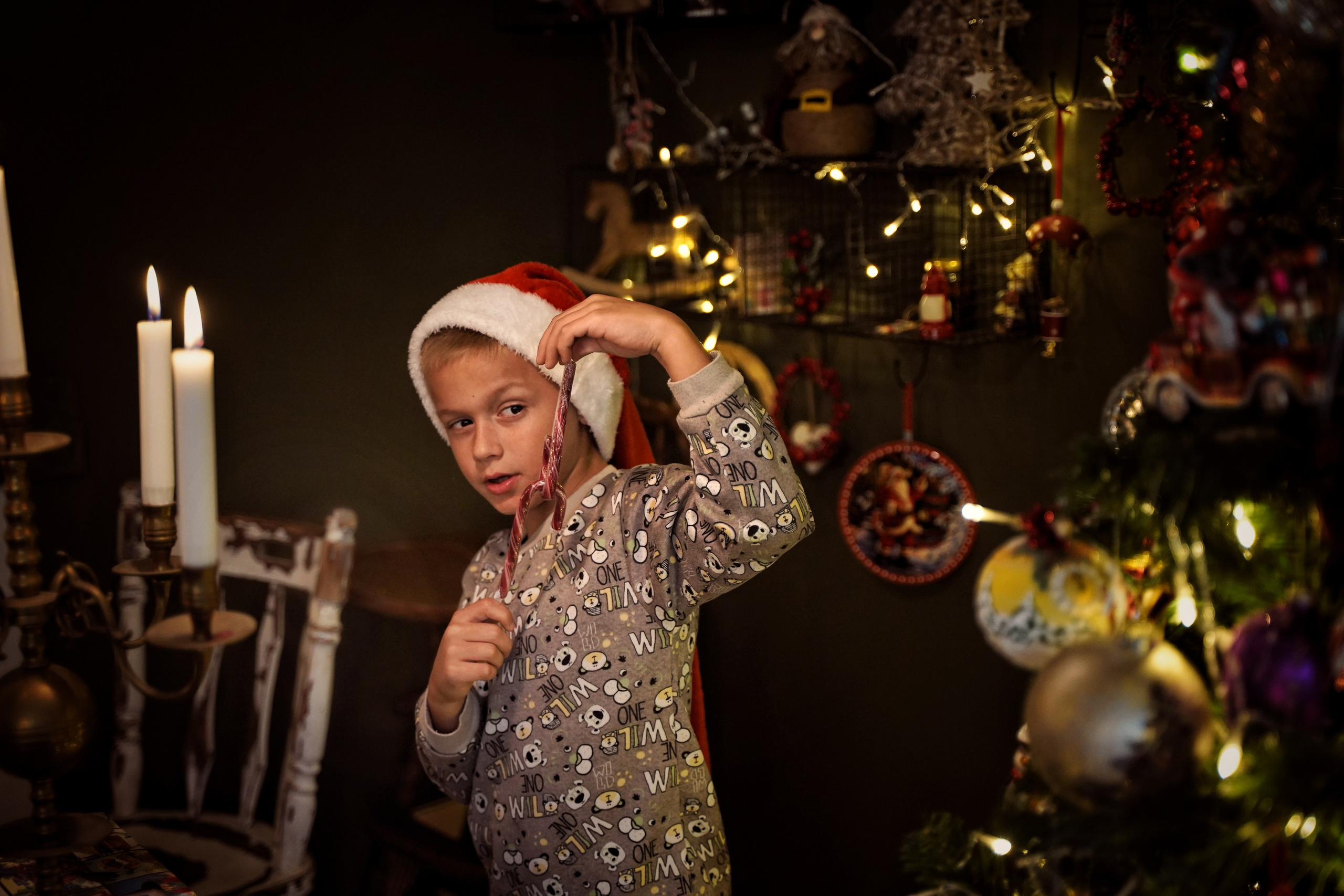 Эльфы. Фотограф. Визуал. Хайфа. Талья Цветкова