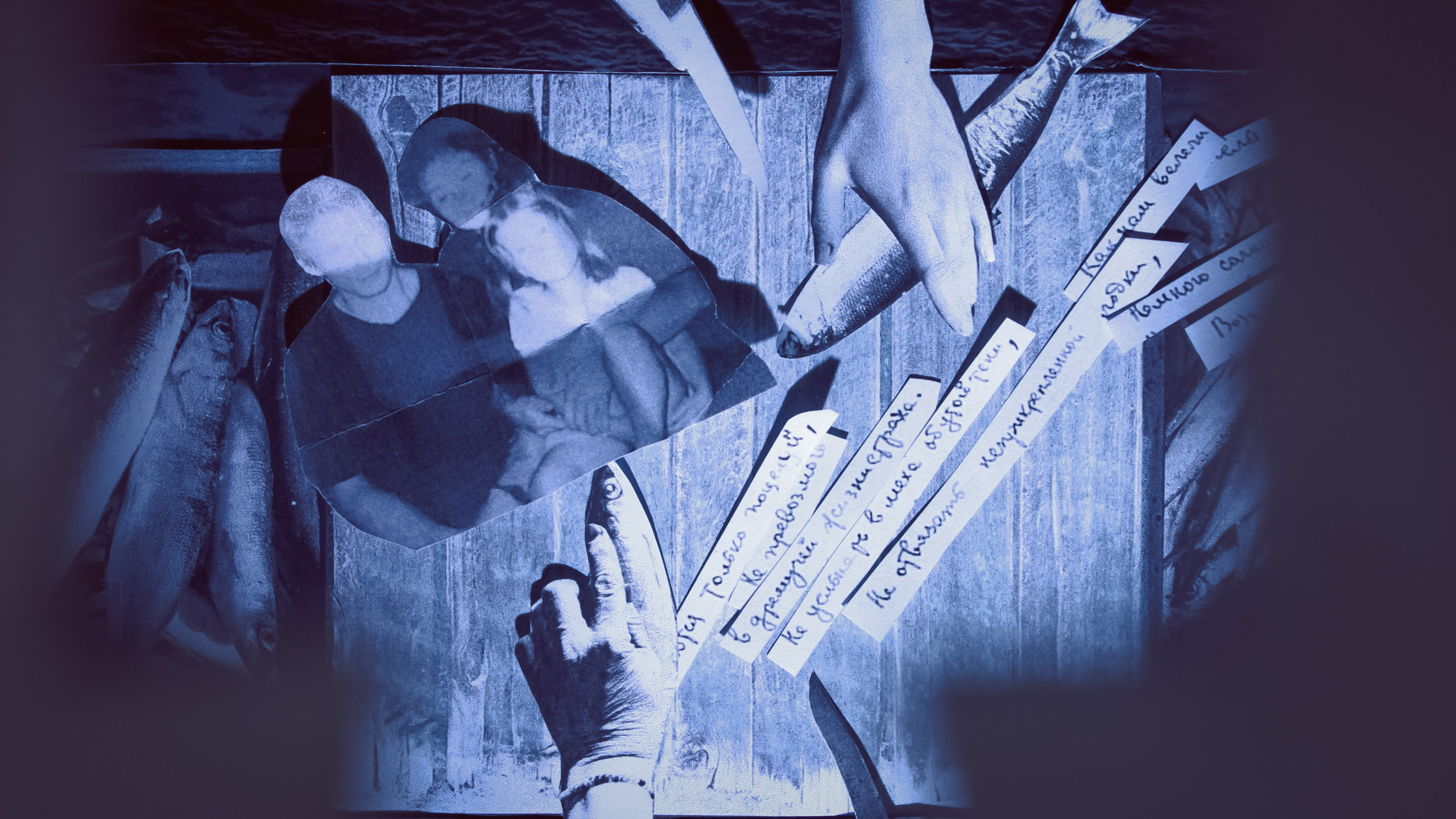 Animations. Artist, photographer, graphic designer, dreamer