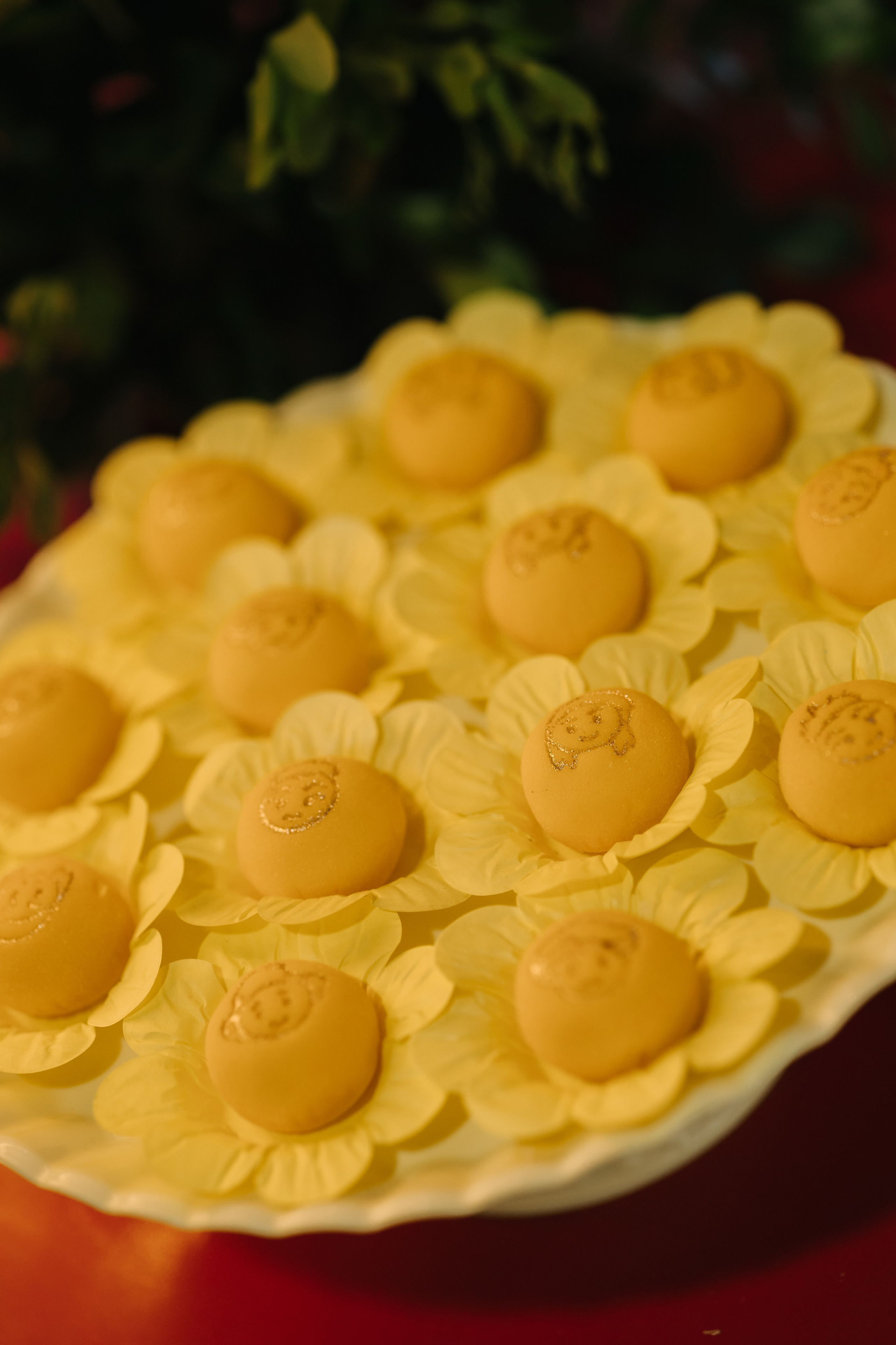 Helena — 1 ano. Fotógrafo Richard Silvestre — Casamentos na Bahia