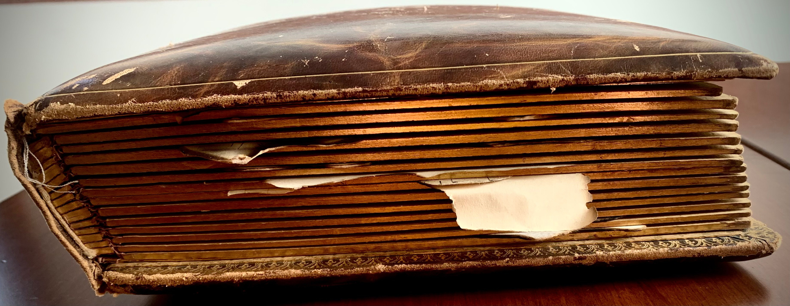 Banalités Précieuses. Nadia Kuprina. Artist