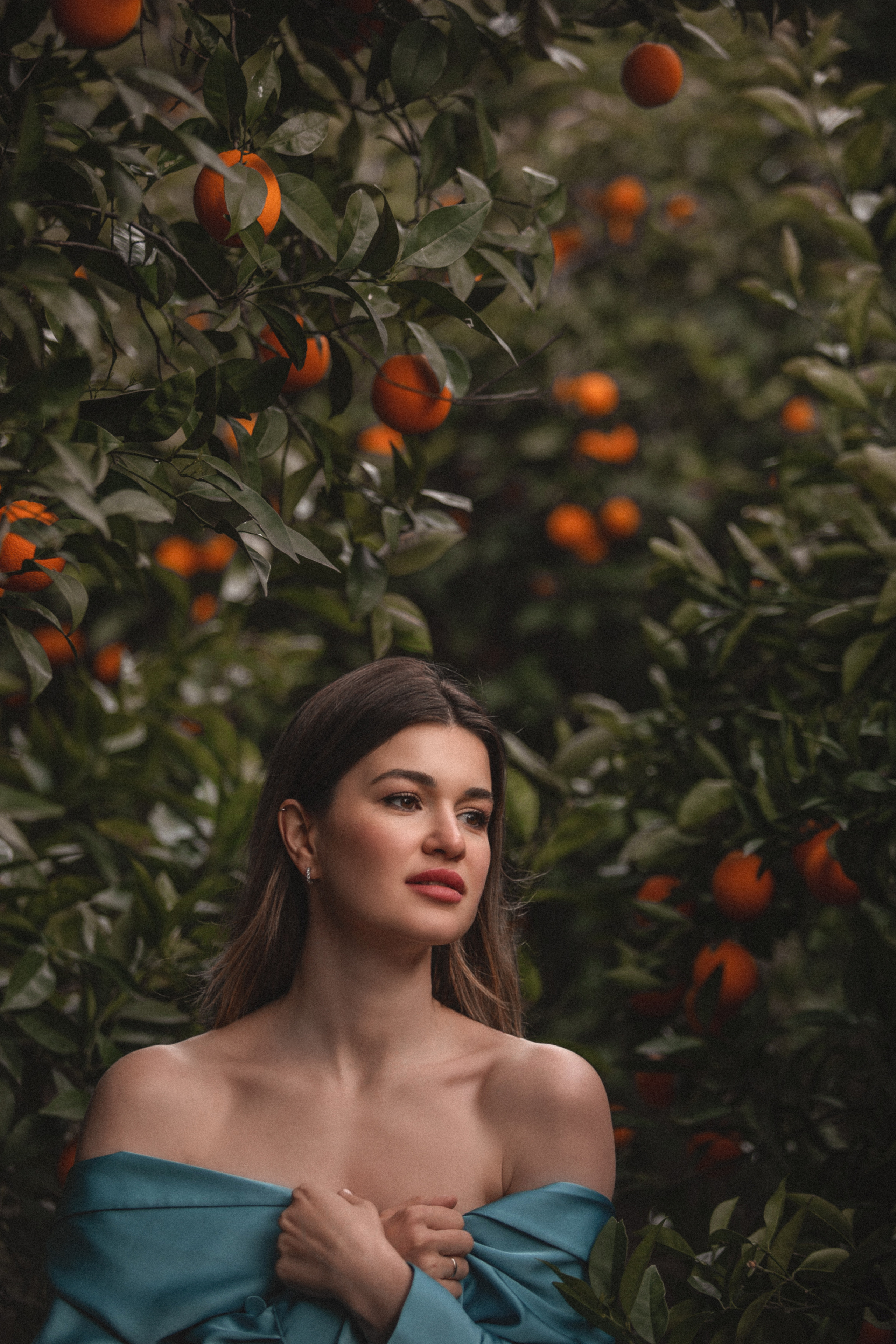 Апельсиновое дерево. Апельсиновые сады. Фотосессия в апельсиновом саду. Цветение в Турции. Что цветет в Турции. Фотограф в Алании. Фотограф в Белек. Фотограф в Анталии. Фотограф в Турции. фотограф , Турция, Анталия, Белек, Сиде, Кемер, фотосессия, апельсиновый сад. Пара в апельсиновом саду. Лав стори в апельсиновом саду. Романтик в апельсиновом саду.
