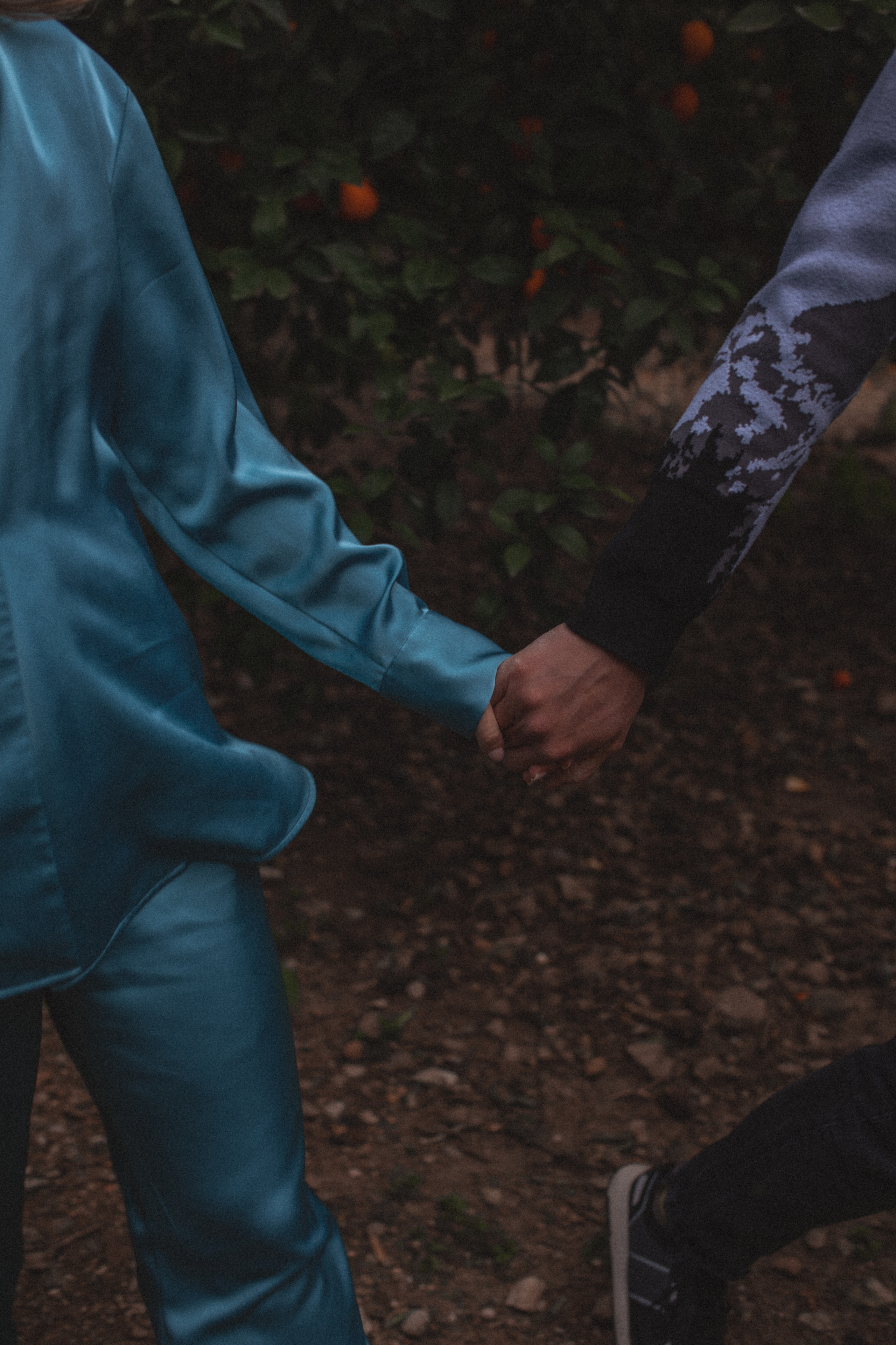 Апельсиновое дерево. Апельсиновые сады. Фотосессия в апельсиновом саду. Цветение в Турции. Что цветет в Турции. Фотограф в Алании. Фотограф в Белек. Фотограф в Анталии. Фотограф в Турции. фотограф , Турция, Анталия, Белек, Сиде, Кемер, фотосессия, апельсиновый сад. Пара в апельсиновом саду. Лав стори в апельсиновом саду. Романтик в апельсиновом саду.