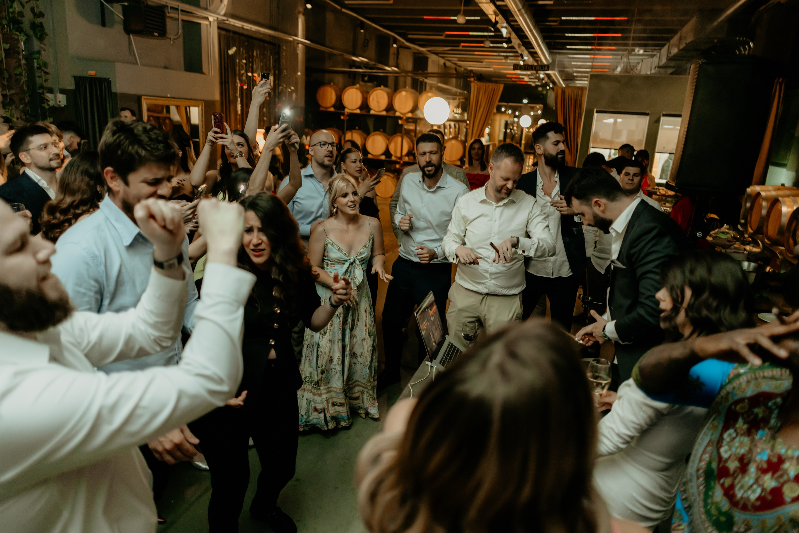 D&V Wedding. Family and children photographer in Belgrade Milja Ciric