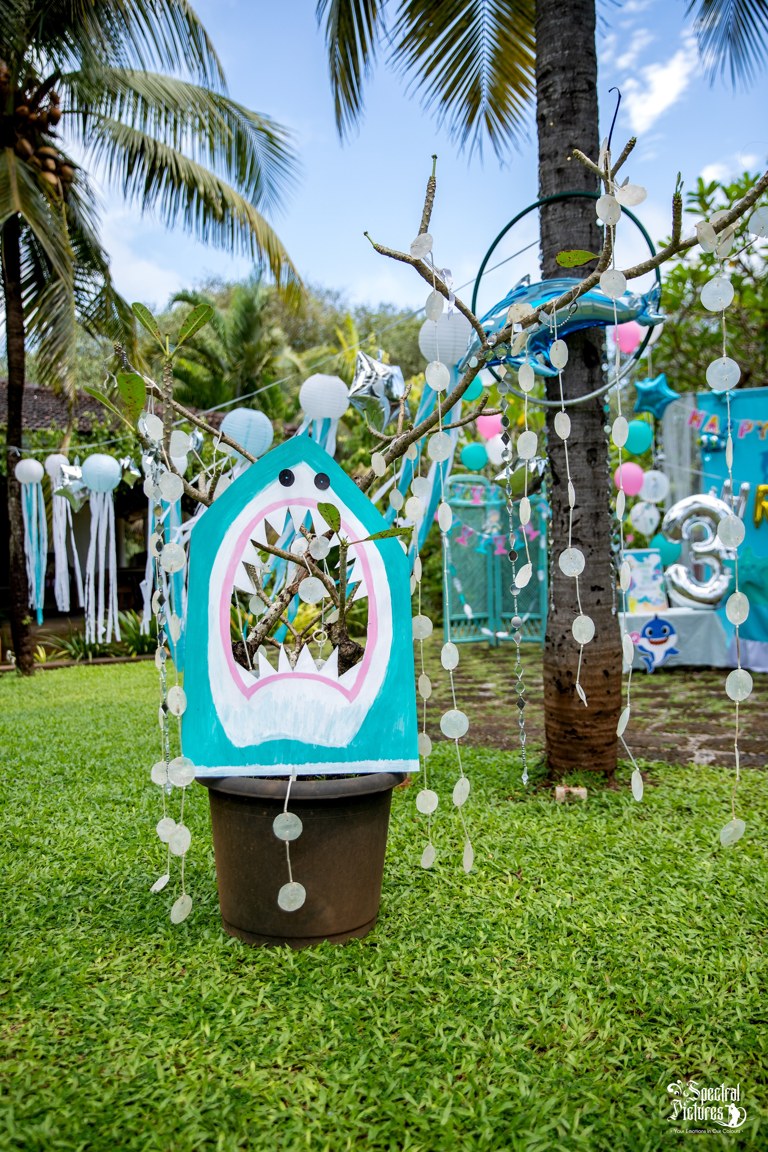 Hrivaan 3rd Birthday