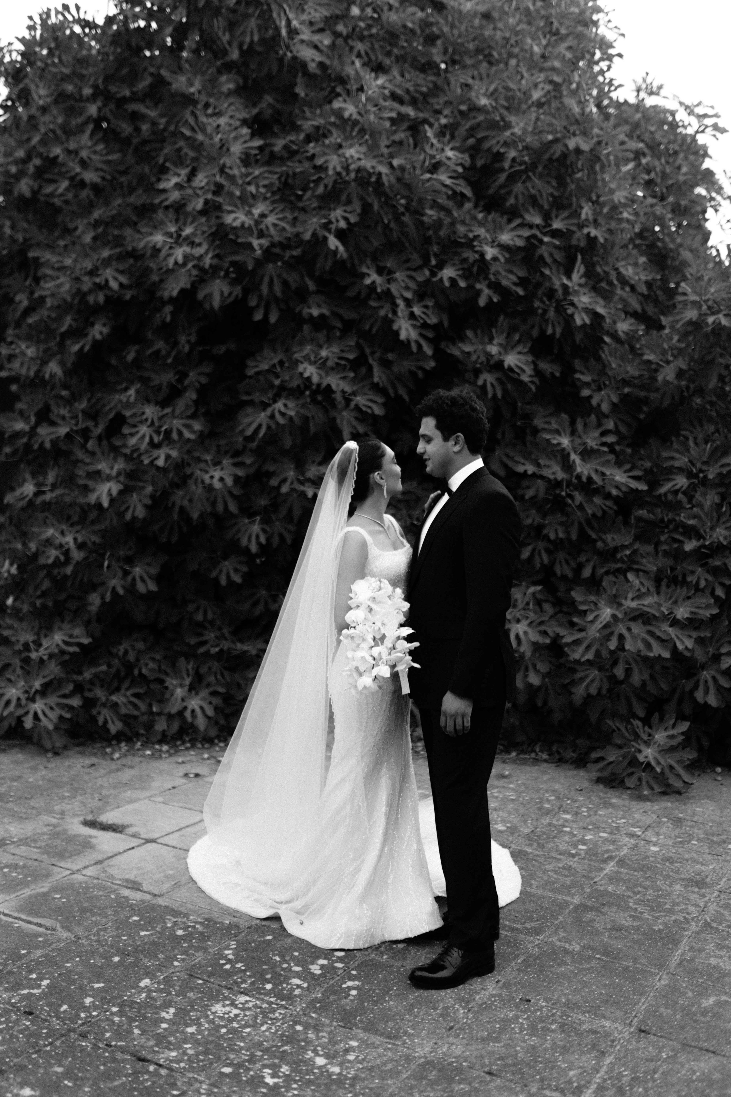 JAVID&GUMRU. Wedding&Event photographer Ismail Rzayev in Baku