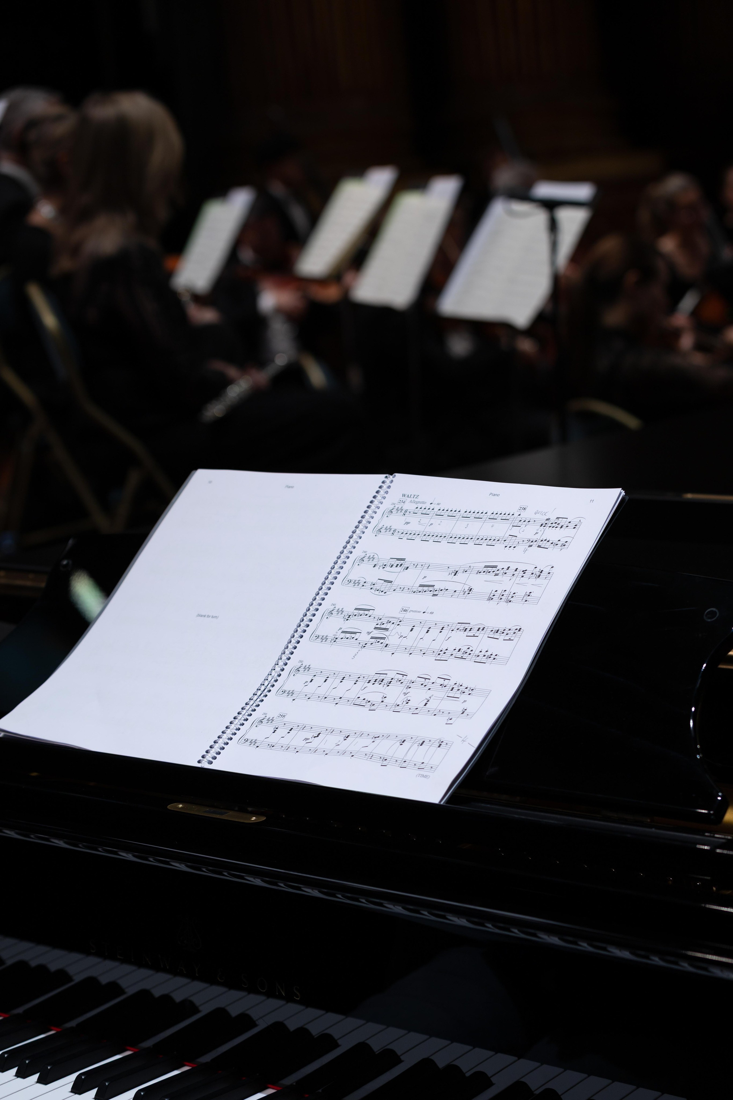 ROYAL OPERA VERSAILLES (PARIS). Wedding&Event photographer Ismail Rzayev in Baku