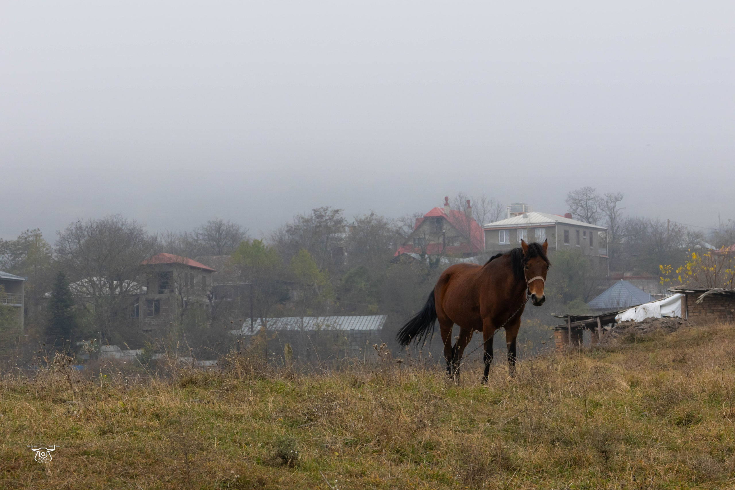 ბუნება. FramefreeMan