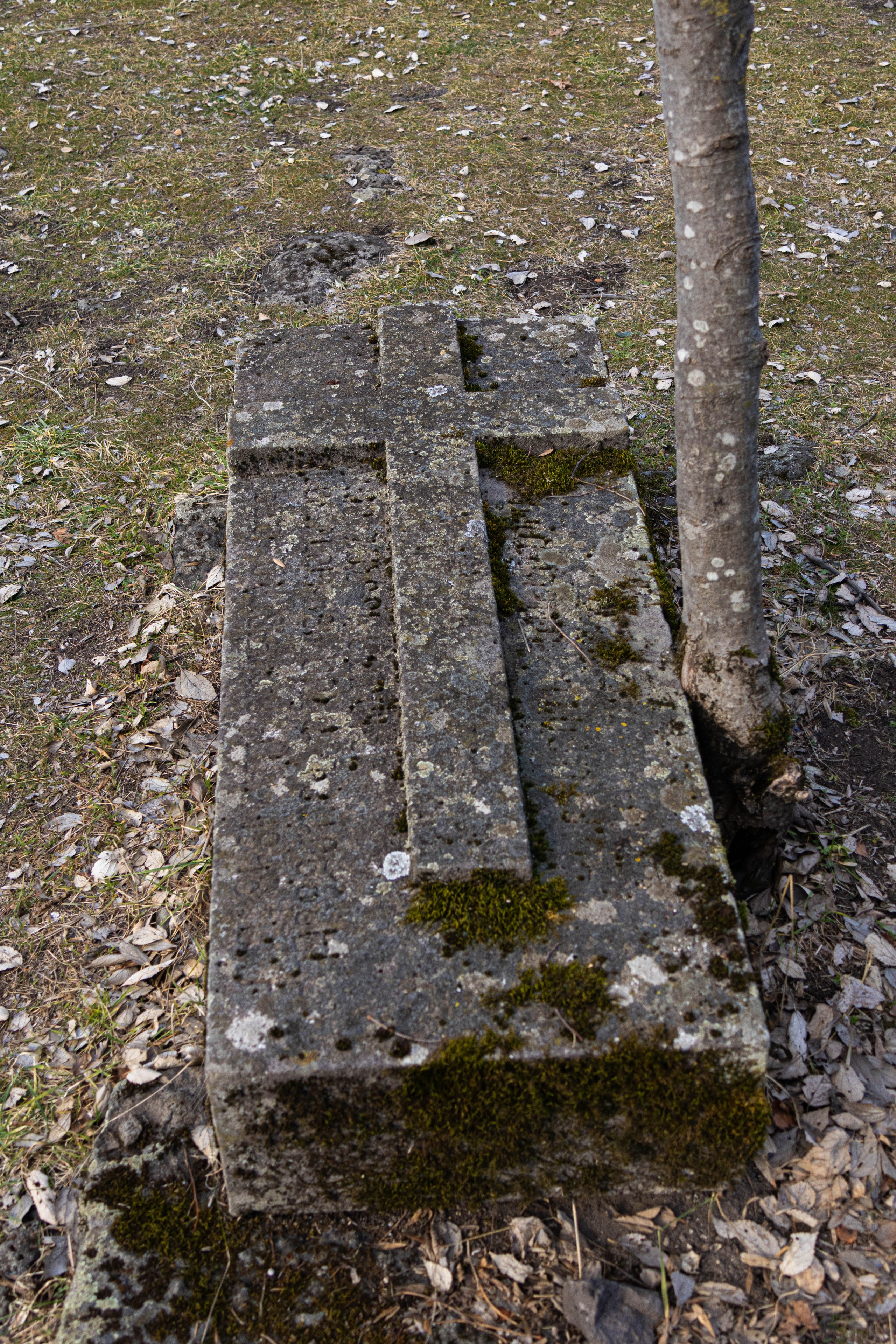 სამშვილდე. FramefreeMan