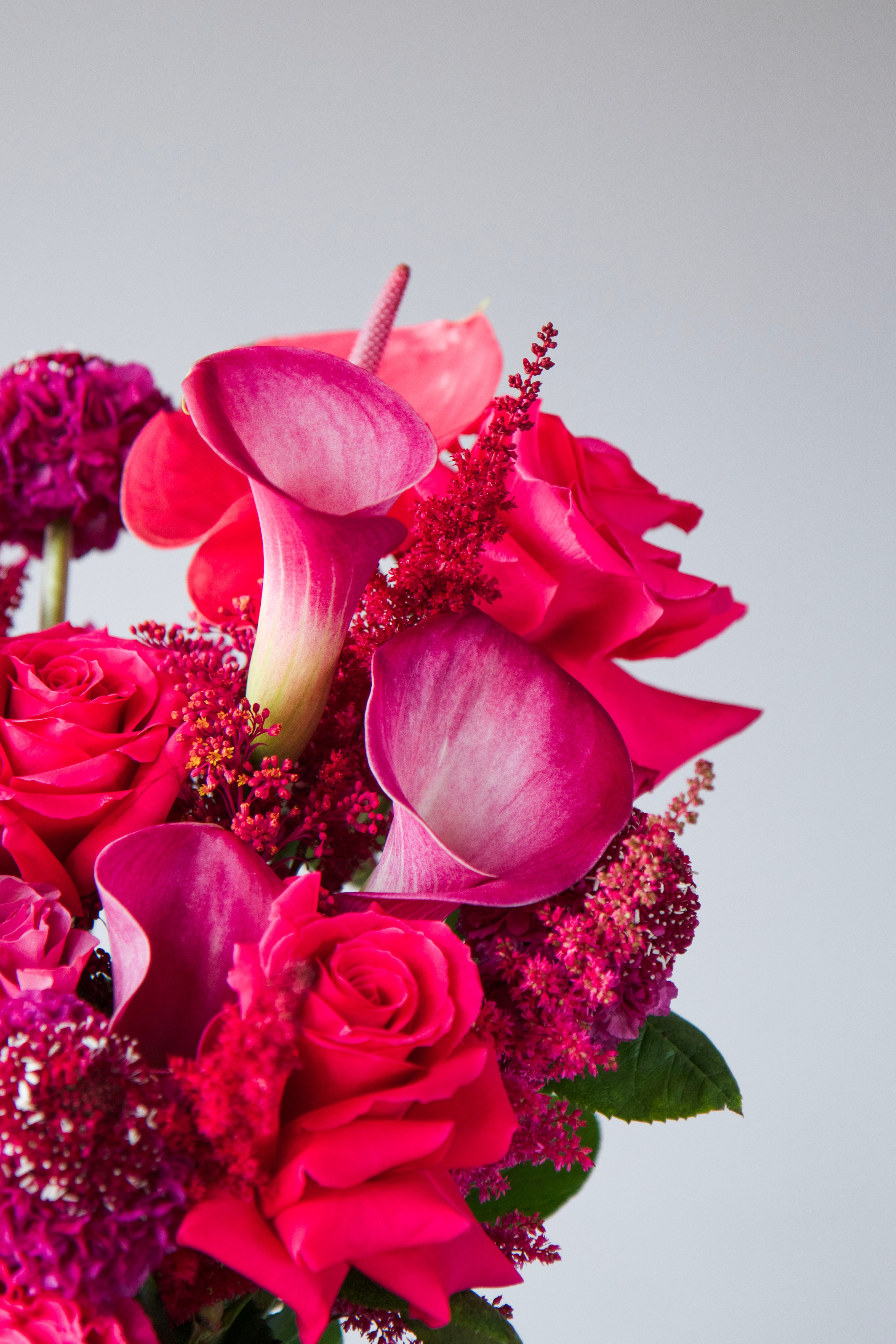 043. Palagina Ksusha, photographer in NY