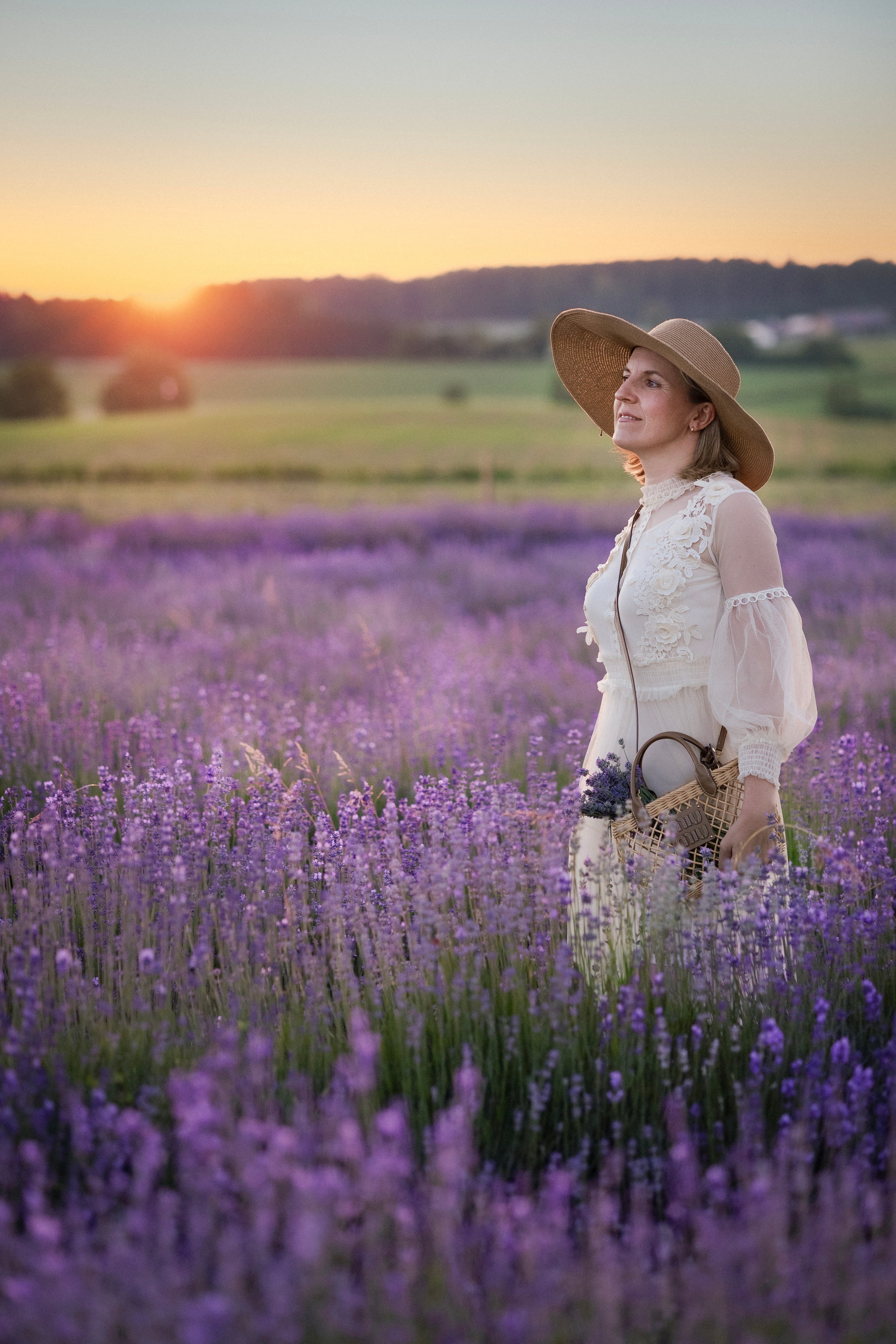 Lavendel. Photographer in Munich