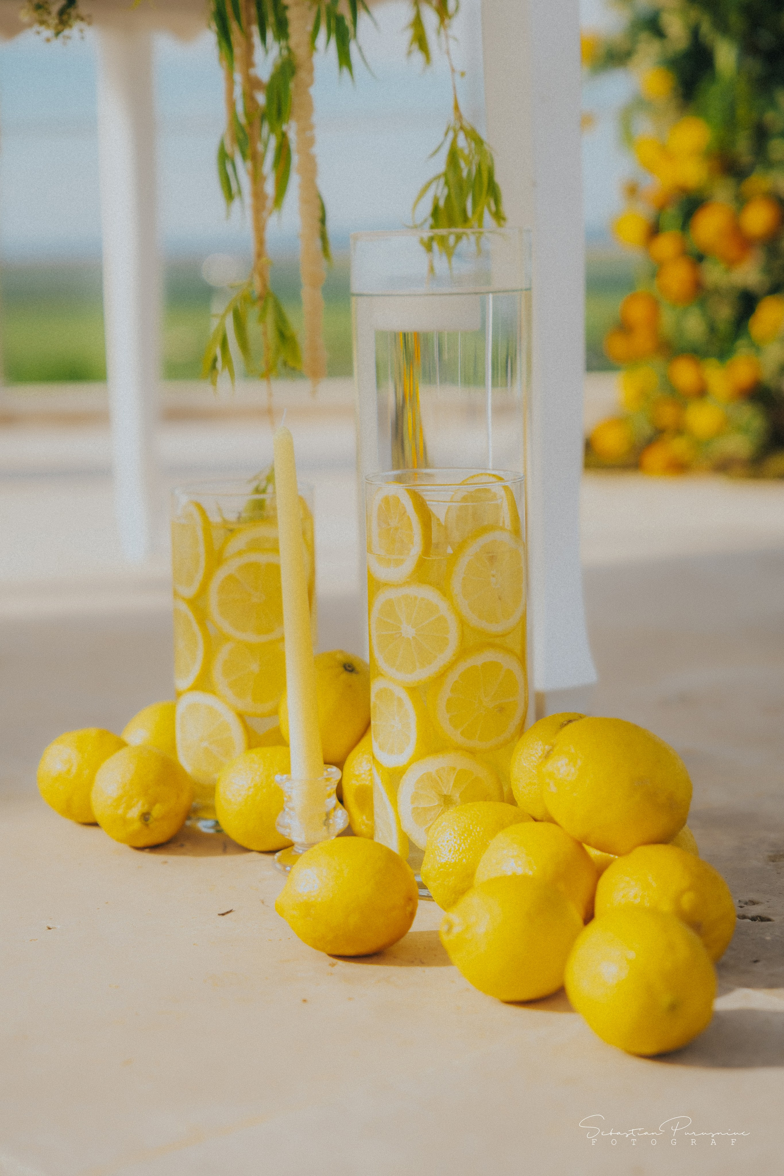 Love & Lemons. Sebastian Purusniuc Fotograf - Iasi