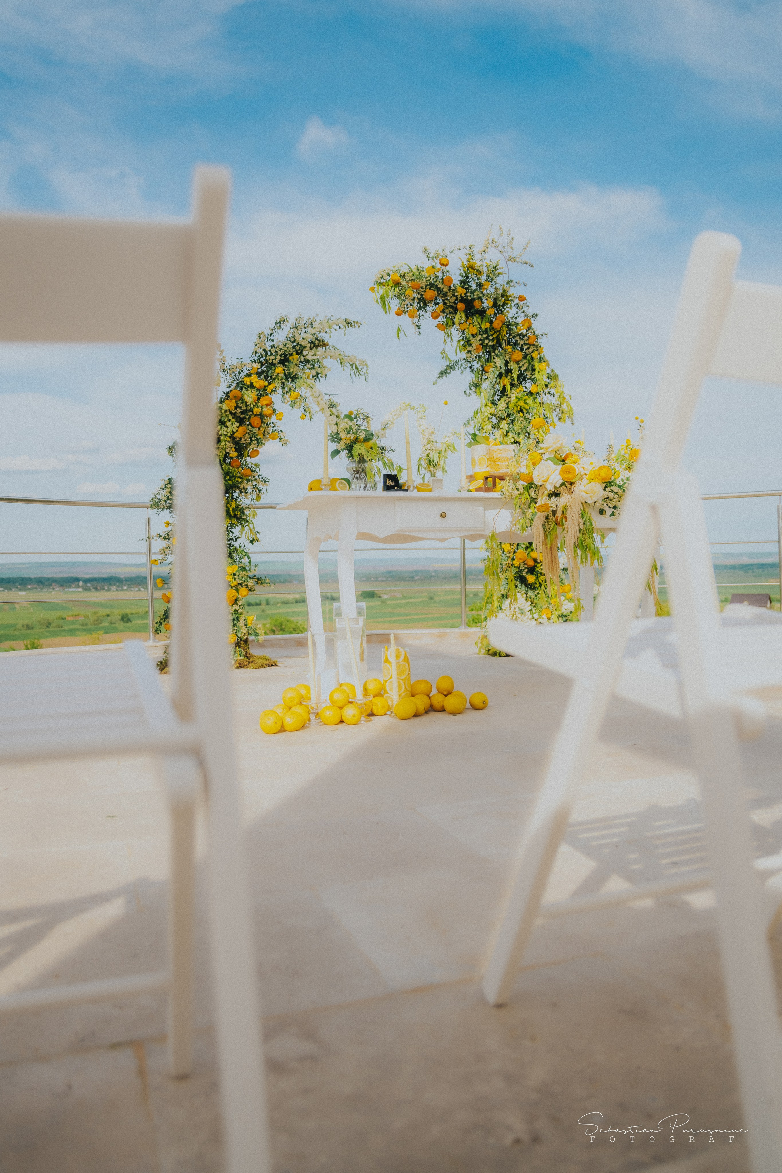 Love & Lemons. Sebastian Purusniuc Fotograf - Iasi