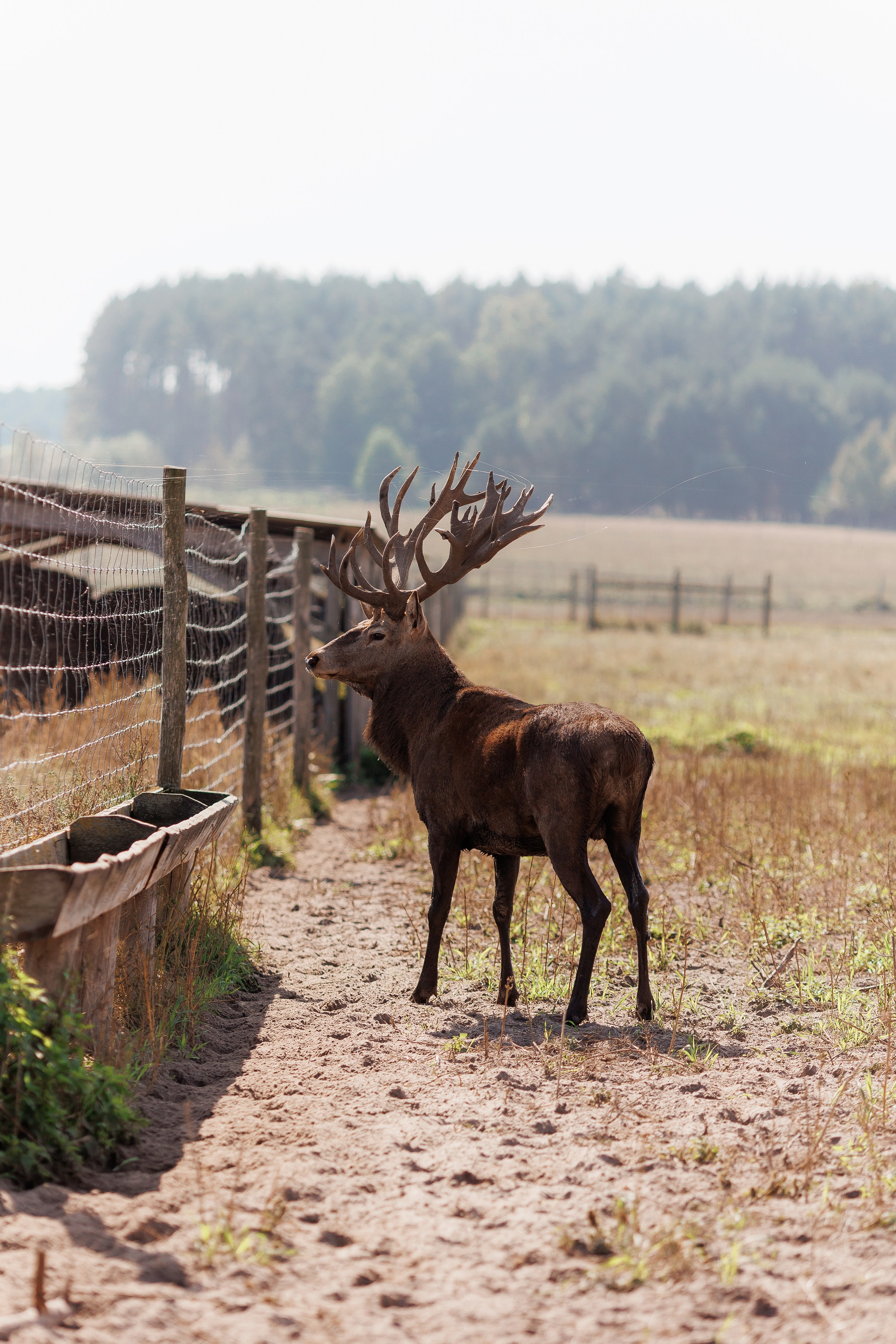Екопарк Аміла. Ірина Терещук