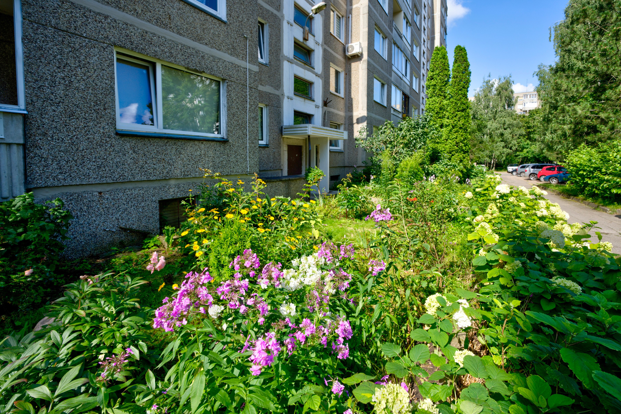 Gabijos g. Elina Sapiega fotografė Vilniuje