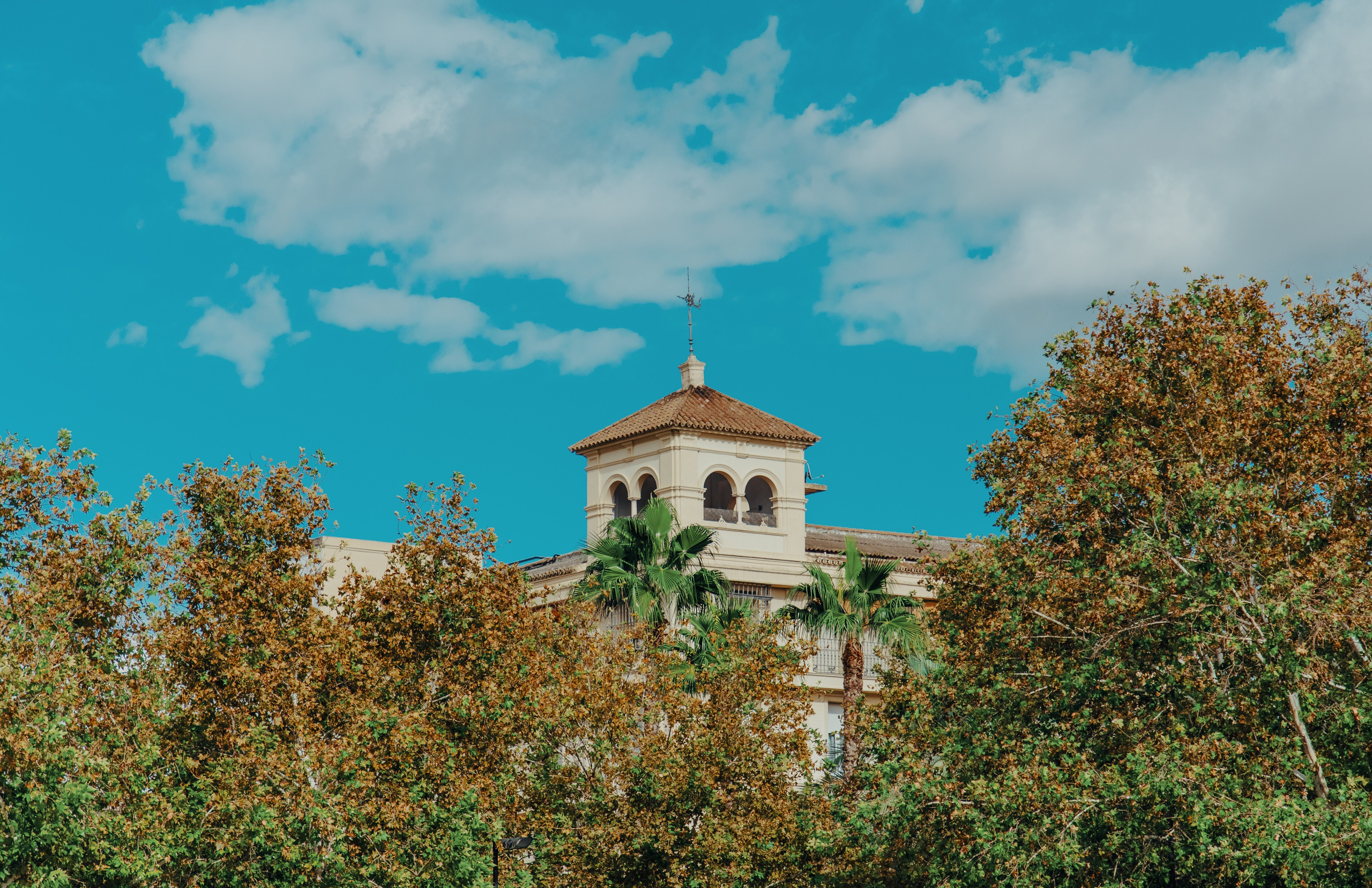 Travel & Street. Mario Jelikic Photography