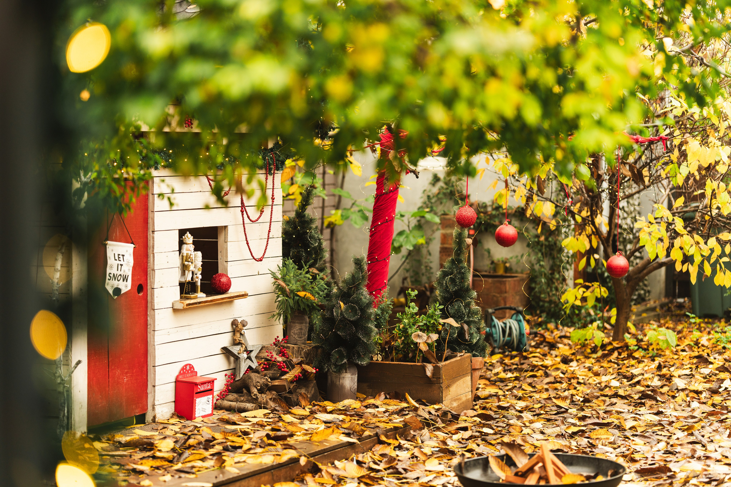 Studio Colentina. Fotograf evenimente. Fotograf nunta. Fotograf Botez. Mihaela Savu