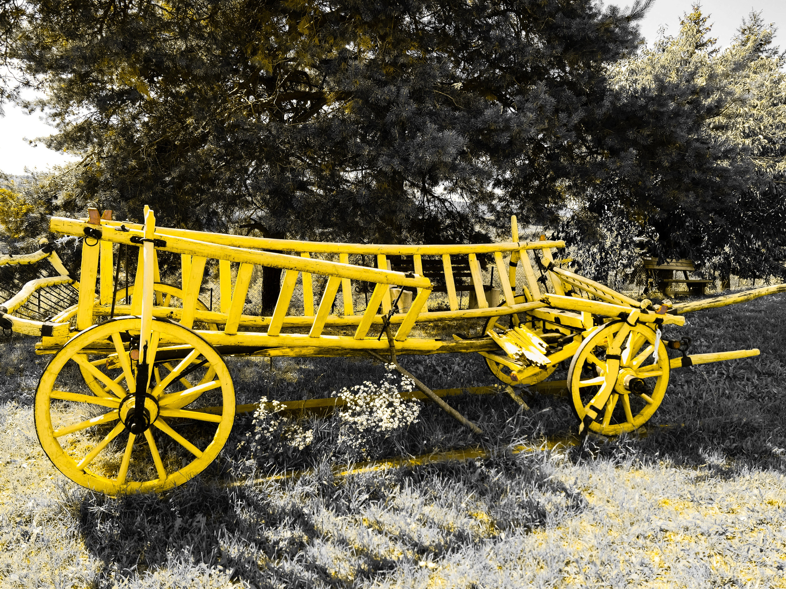 Portfolio. Photographer in Sotenäs municipality. Fotograf i Sotenäs kommun