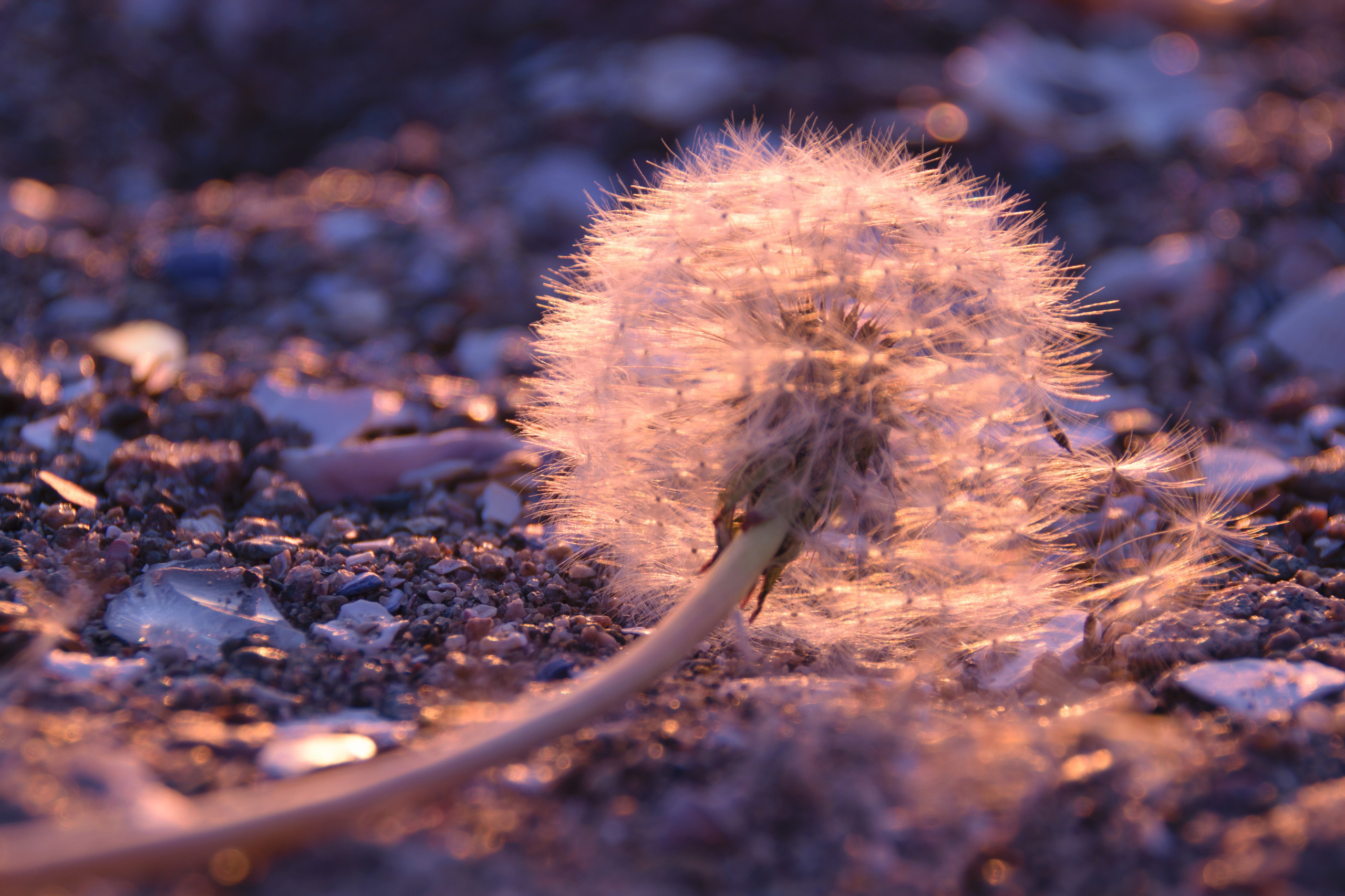 Portfolio. Photographer in Sotenäs municipality. Fotograf i Sotenäs kommun