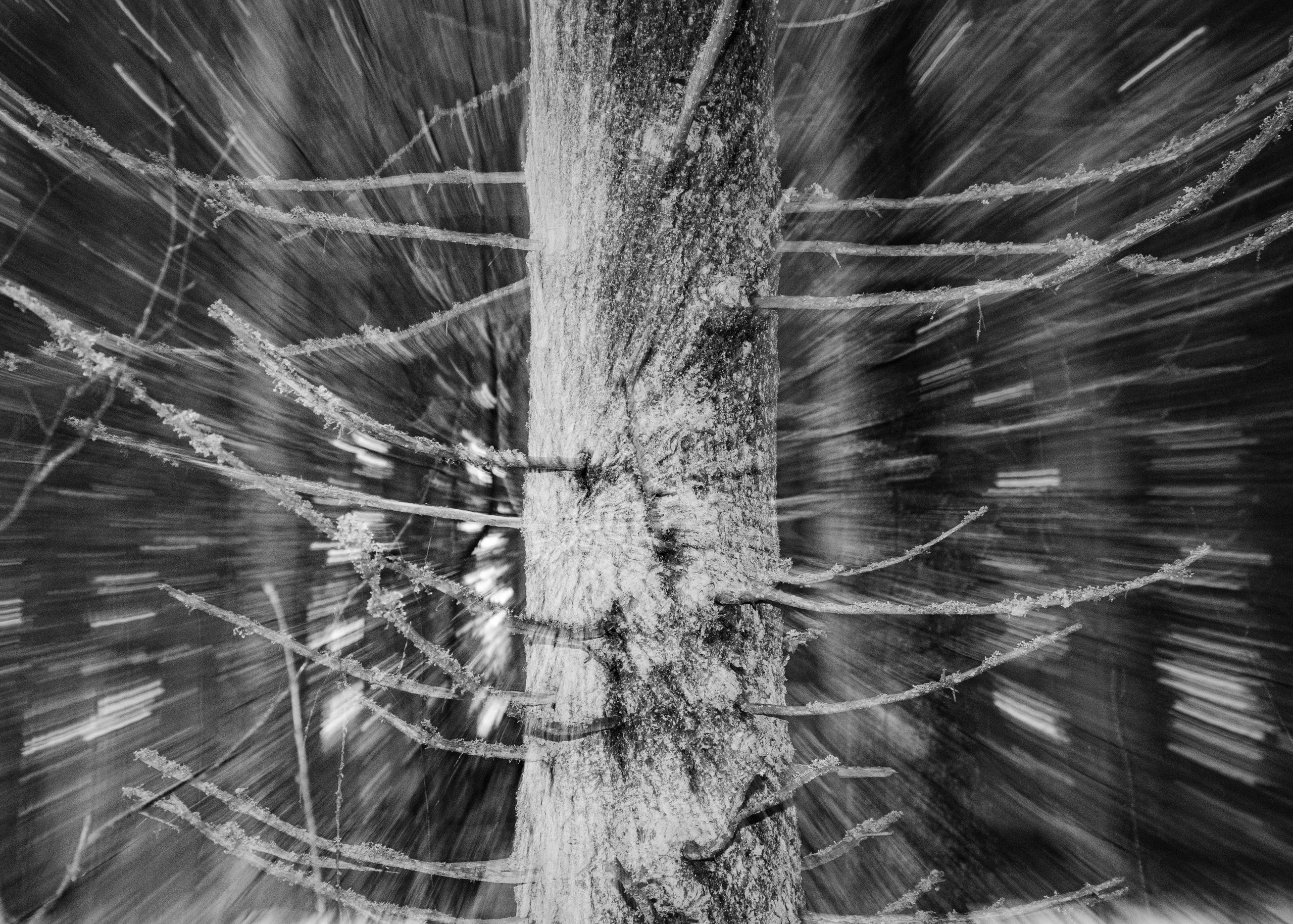 Displaced. Oksana Zhila, Valokuvaaja, Suomi, Lahti, Mikkeli, Helsinki