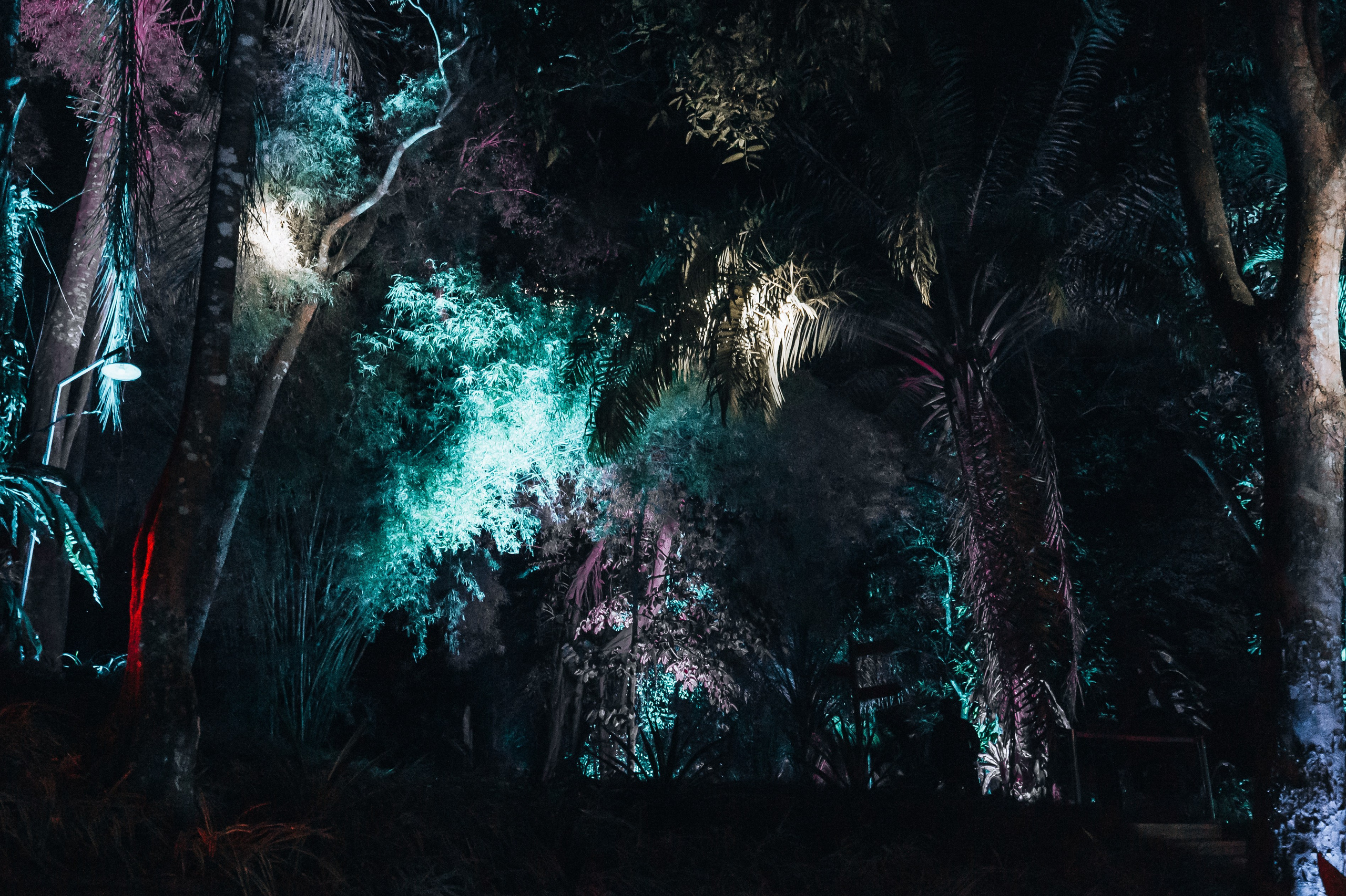 Event photography. Video production in Bali, Photo production in Bali