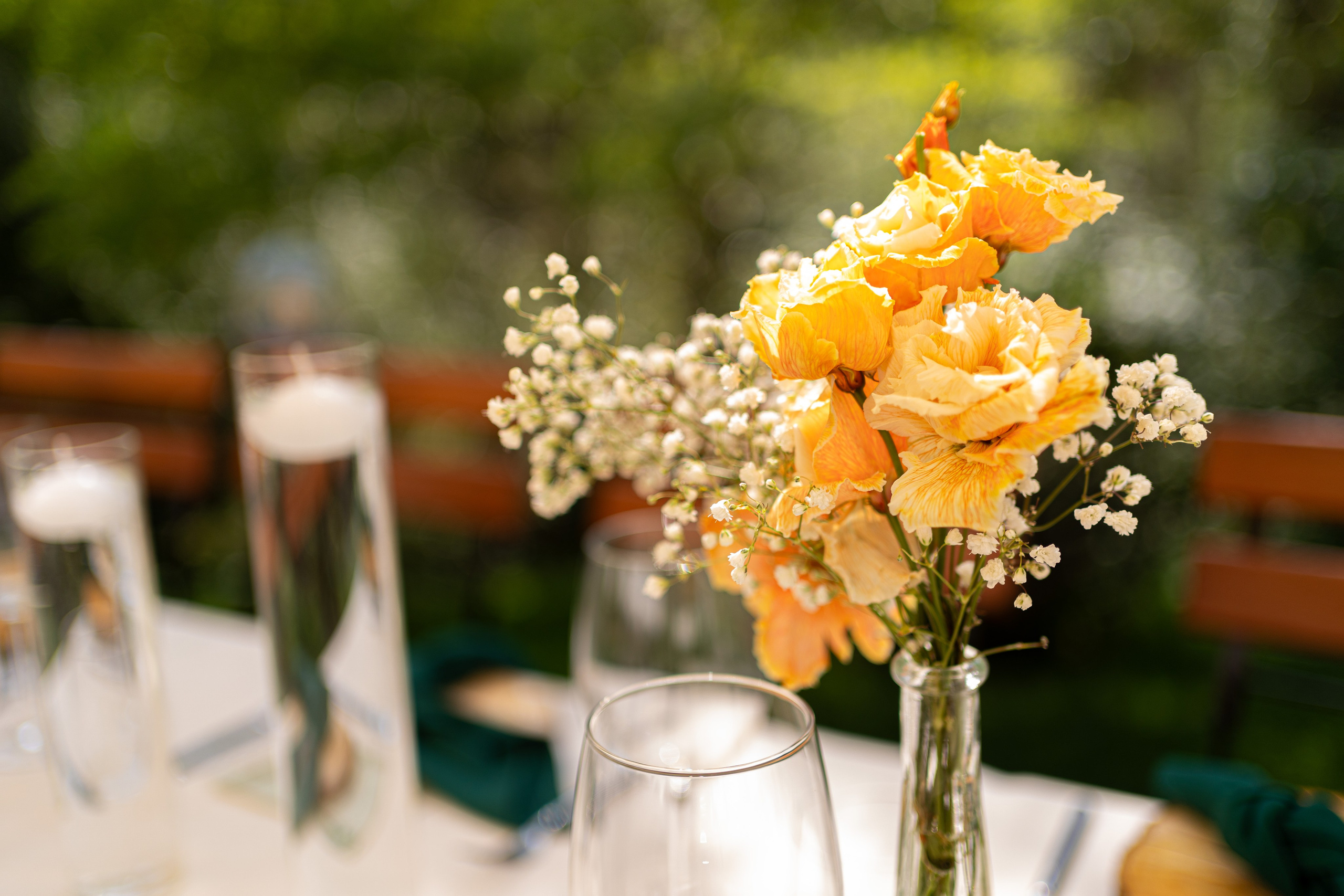 Alexandra & Alexandru. Fotograf evenimente, fotograf nunta, fotograf botez
