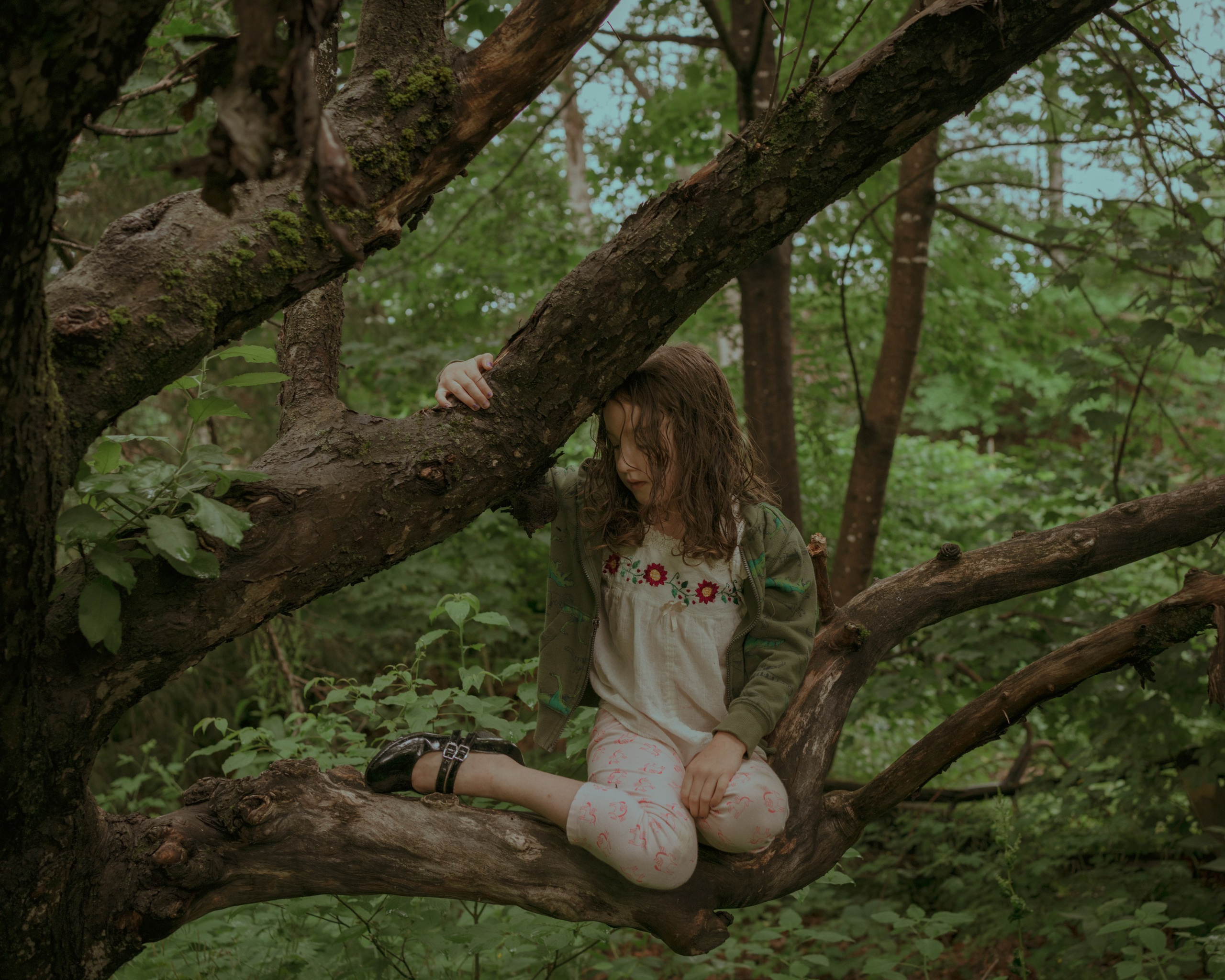 Simone put on her best shoes to climb her favorite tree in their yard.