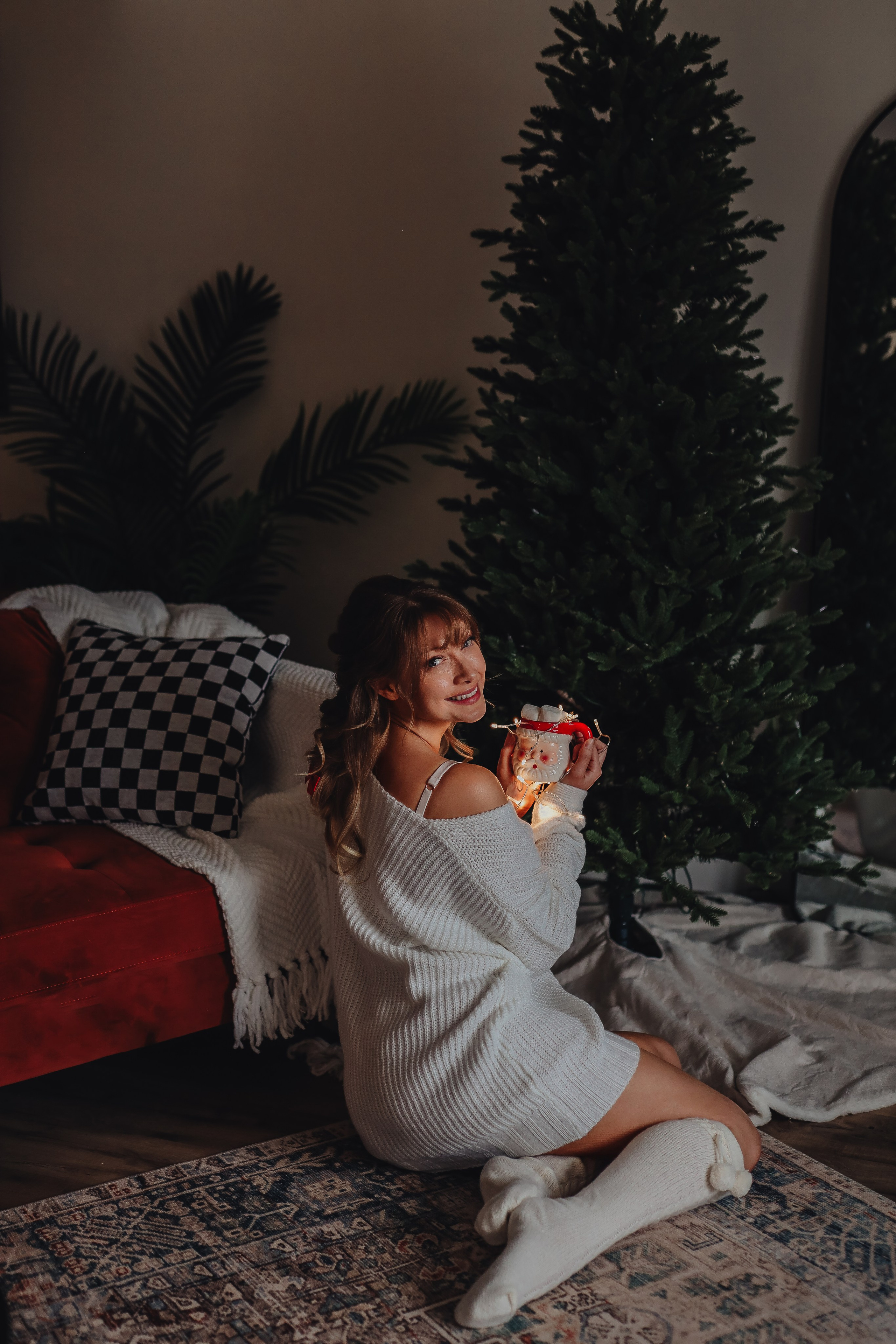 Christmas minis. Ellen Litvinova photography